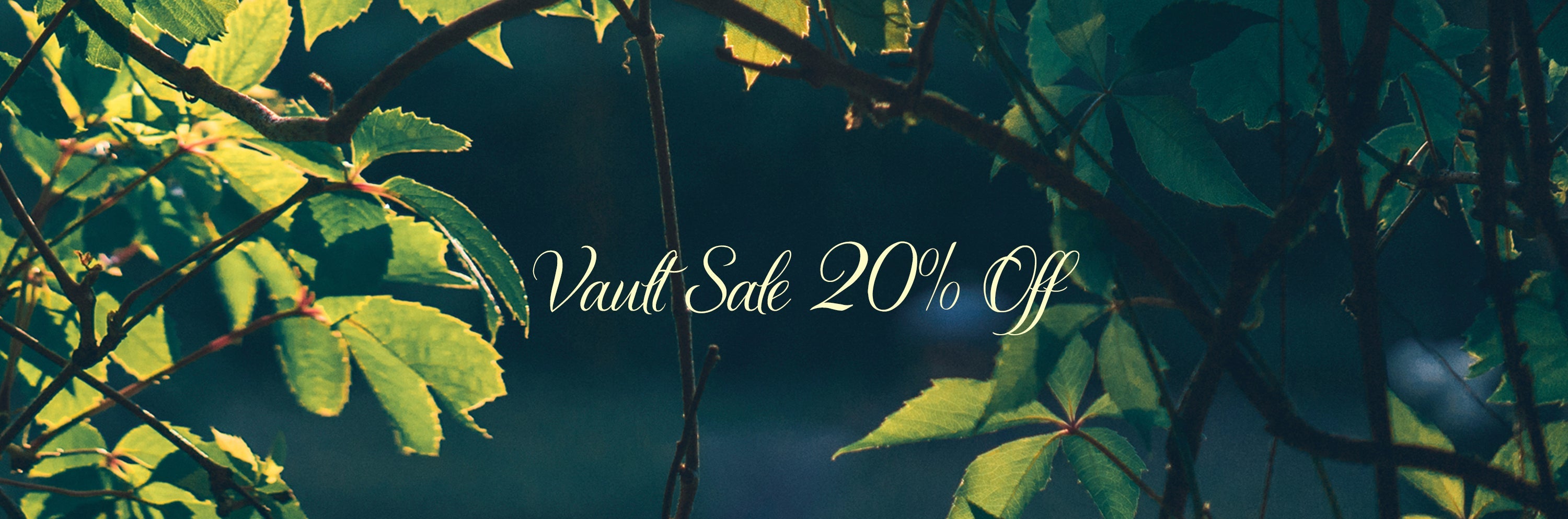 Summer Vault-2026-20% - Jes MaHarry