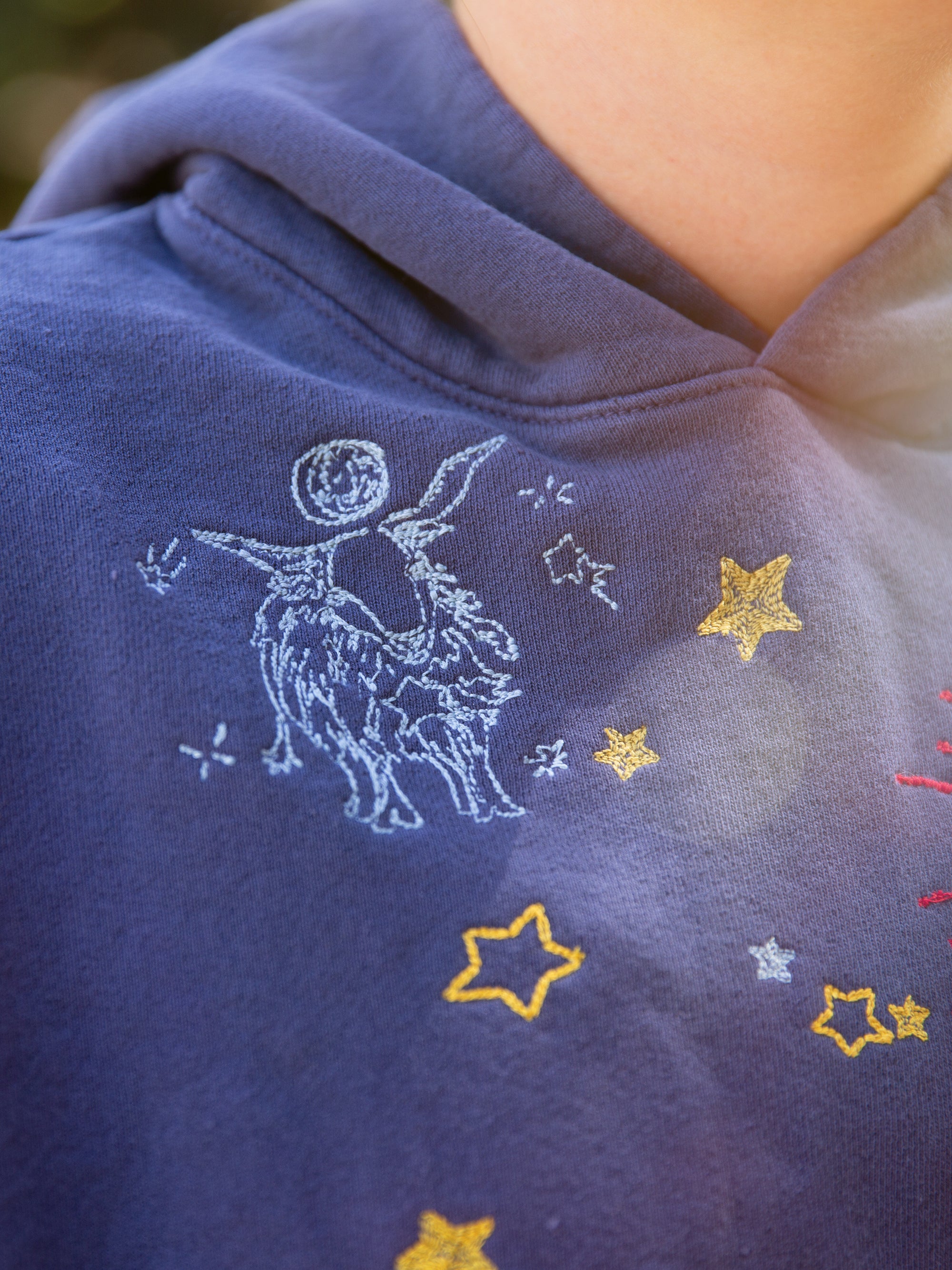 Wrapped in the Stars Hoodie