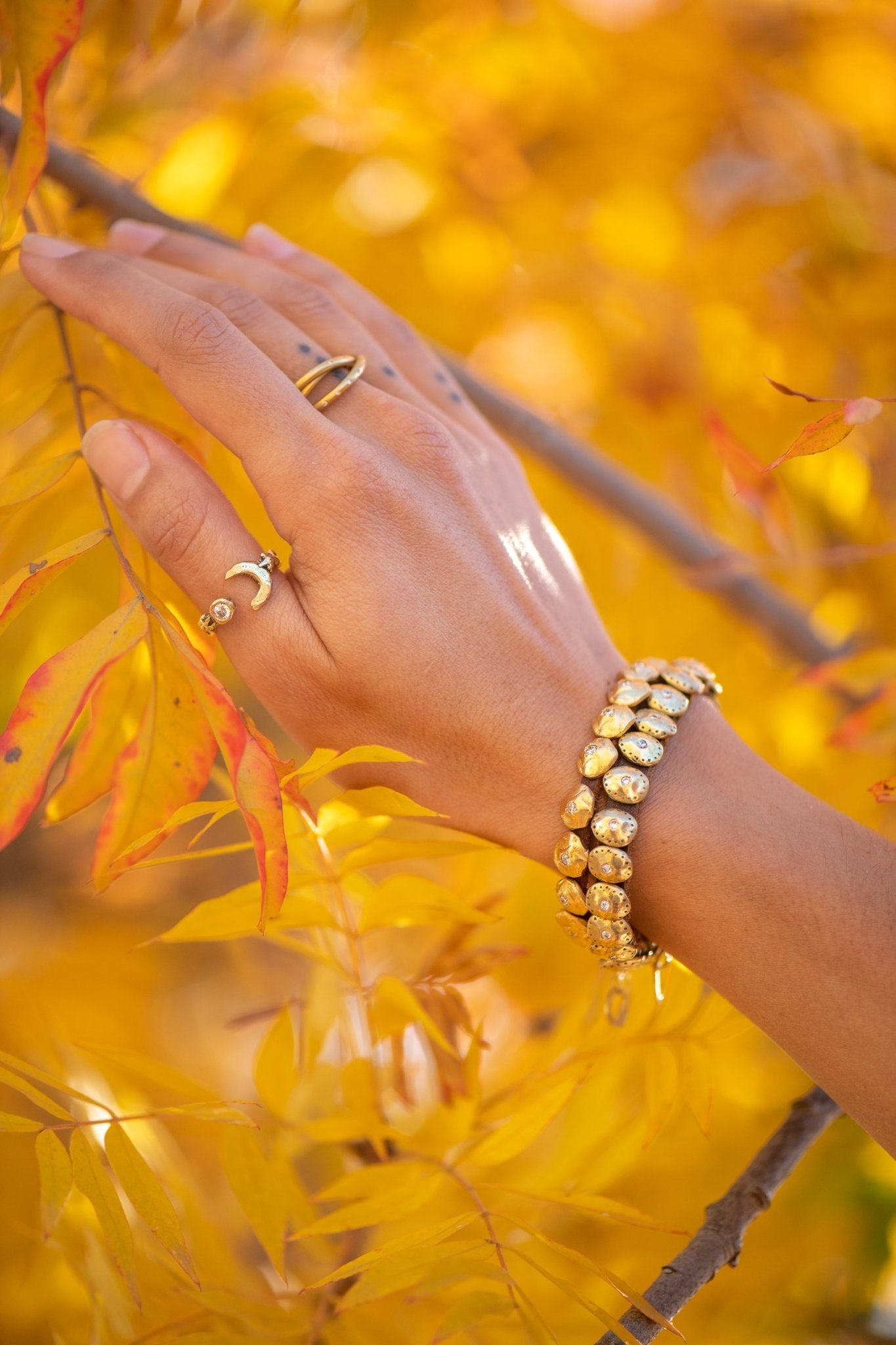 Voyage of Light Bracelet - Jes MaHarry