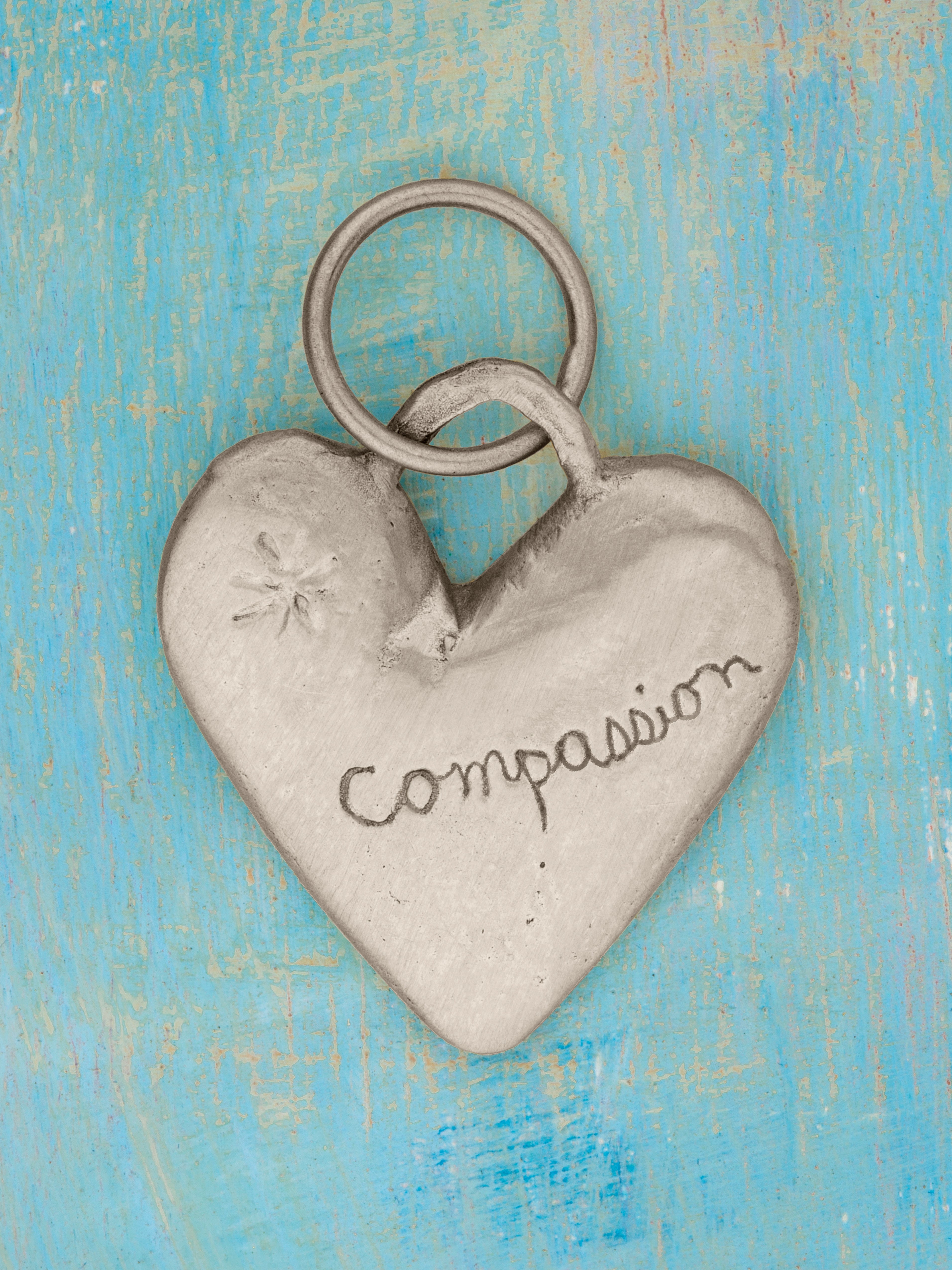 I love Animals Charm