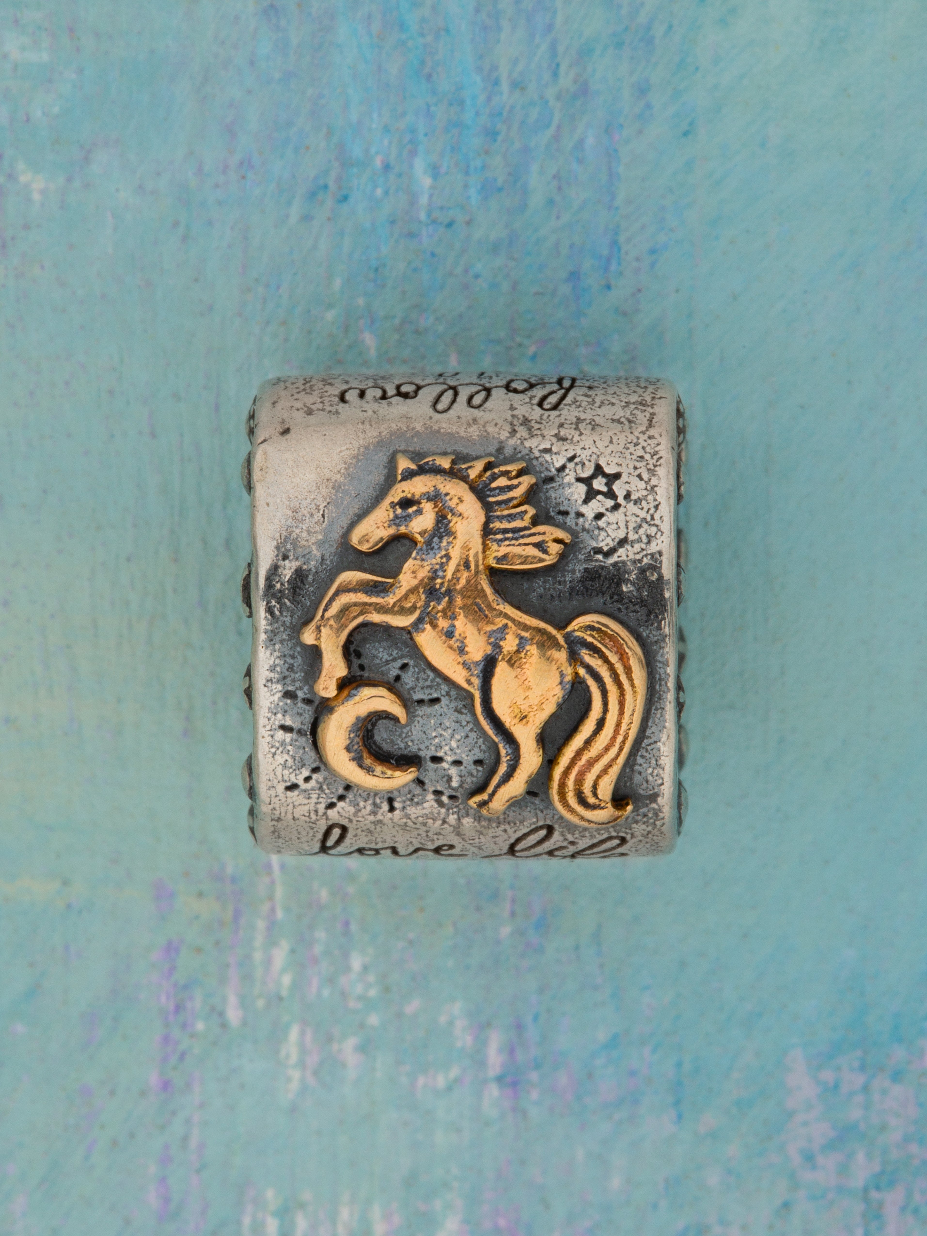 Horse Shine Talisman Charm