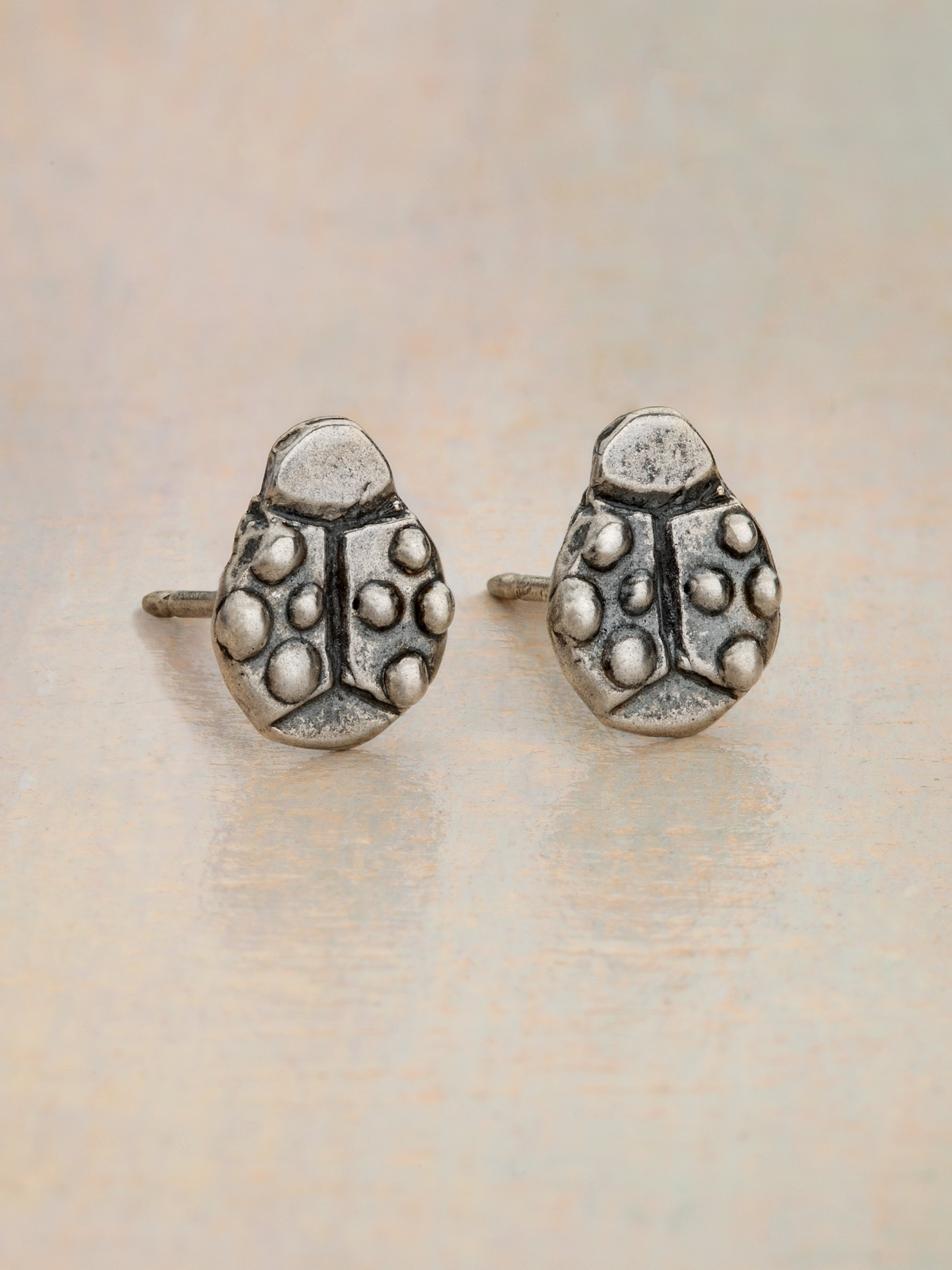 Ladybug Magic Earrings