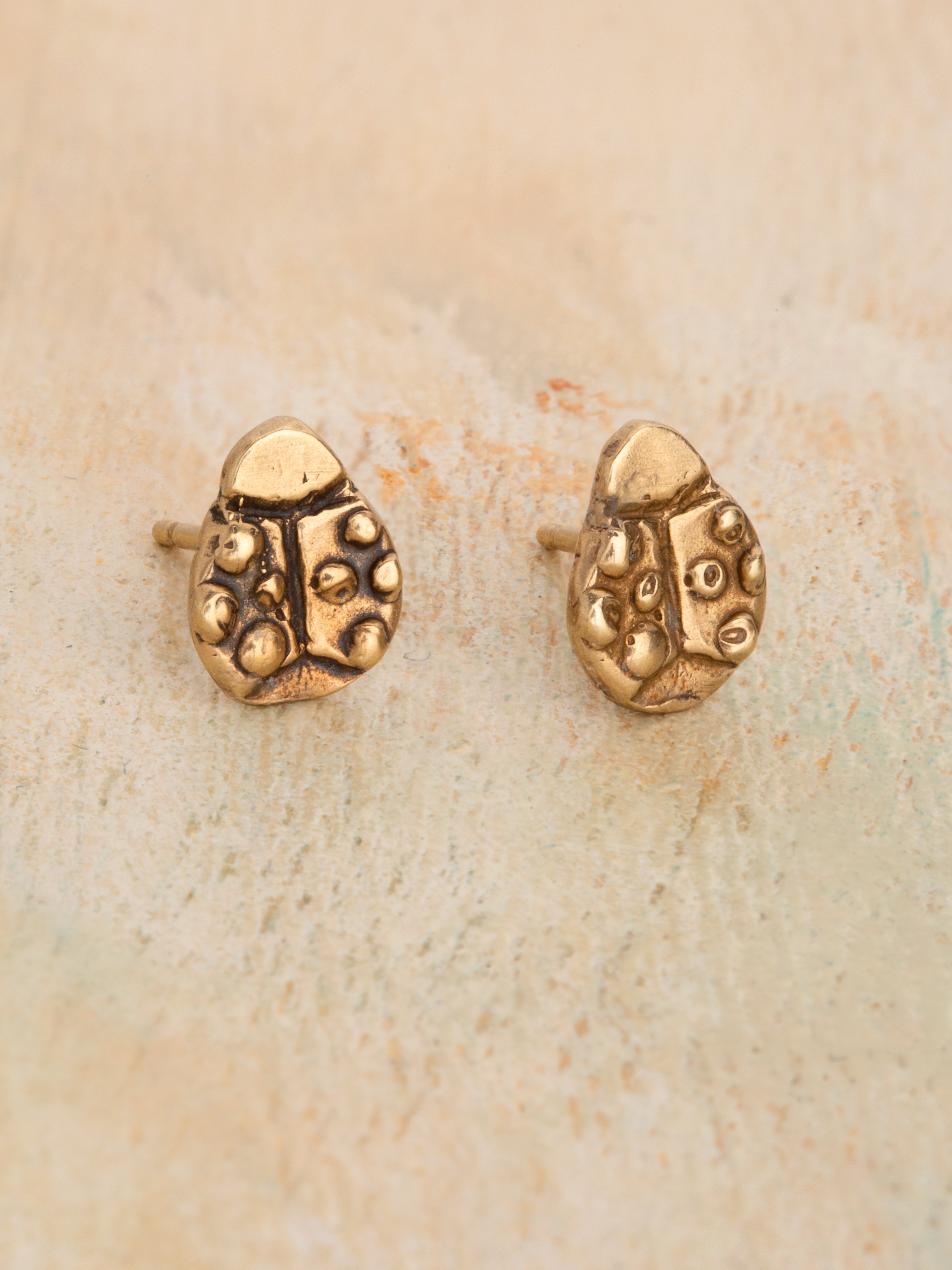 Ladybug Magic Earrings