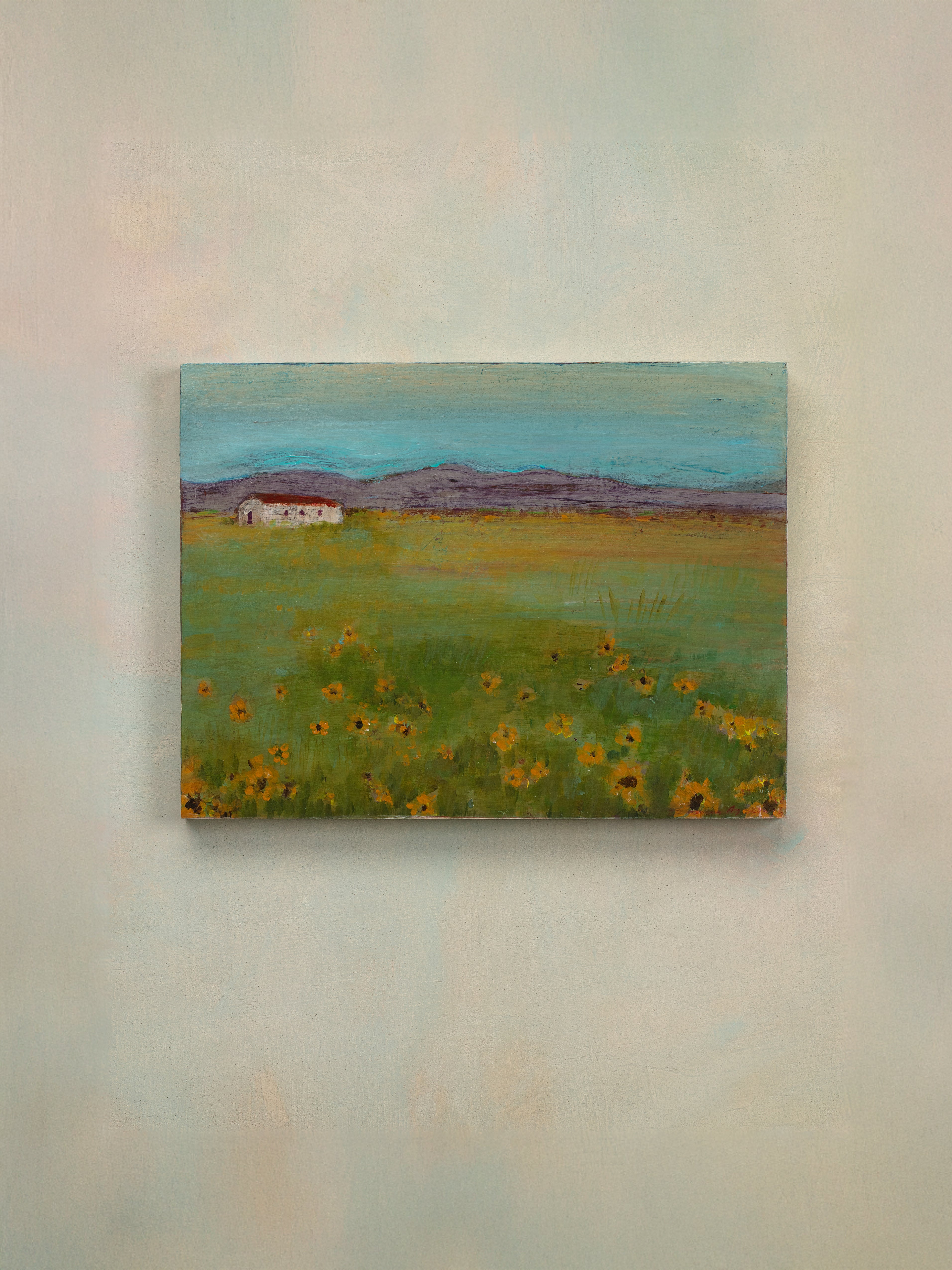 Sunflower Fields - Donna Ayscough