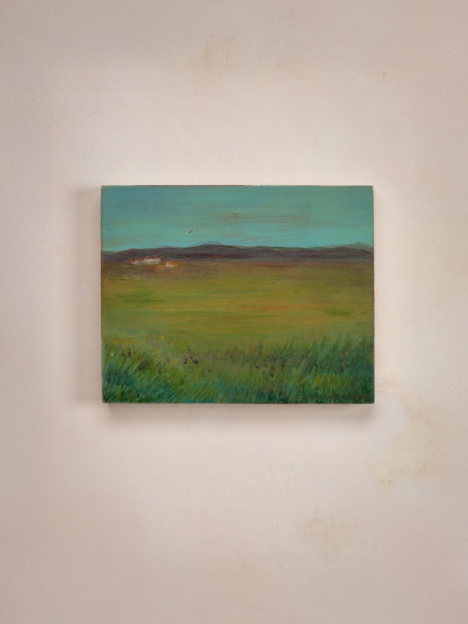 Soft Fields - Donna Ayscough - Jes MaHarry