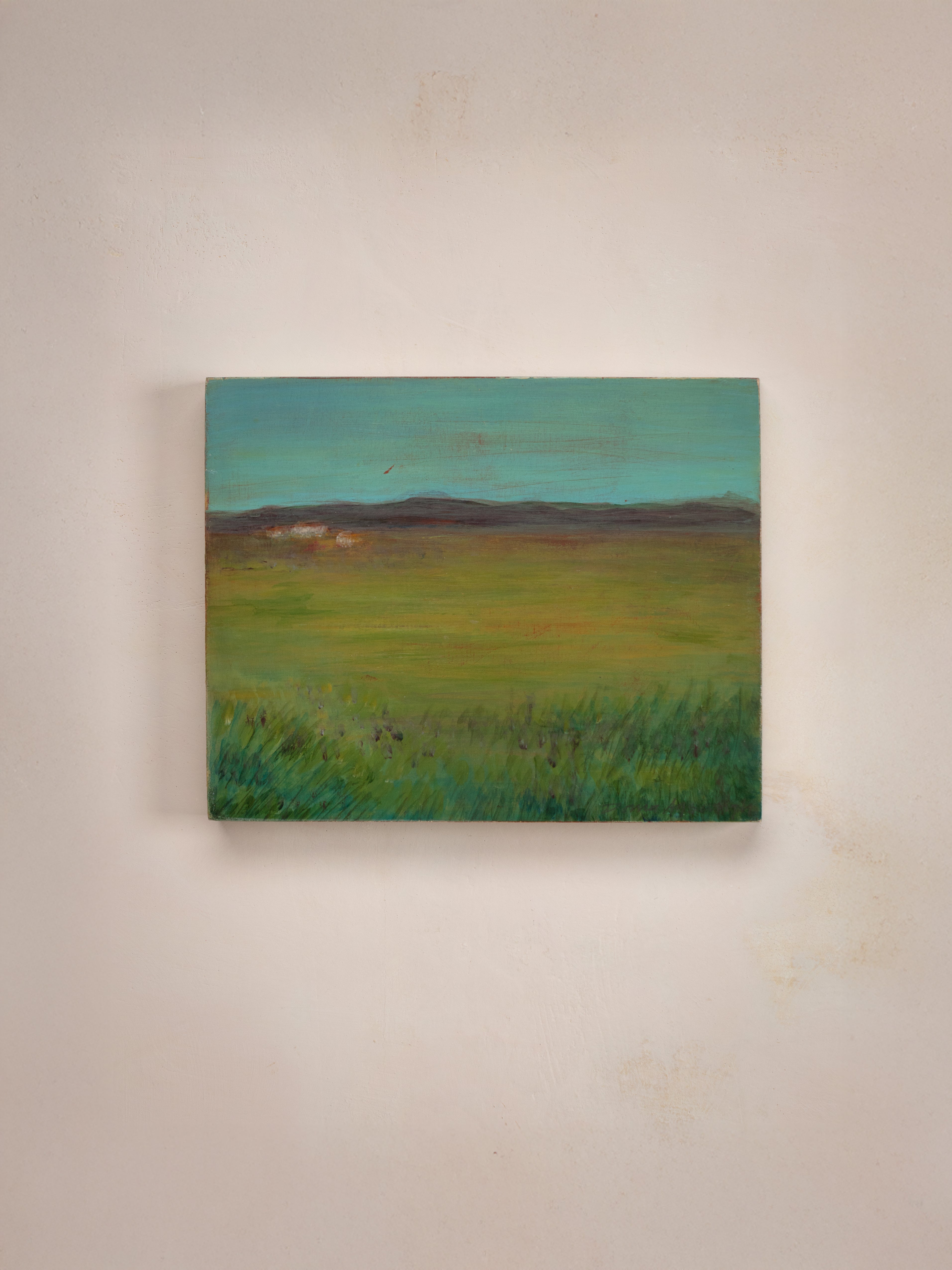 Soft Fields - Donna Ayscough