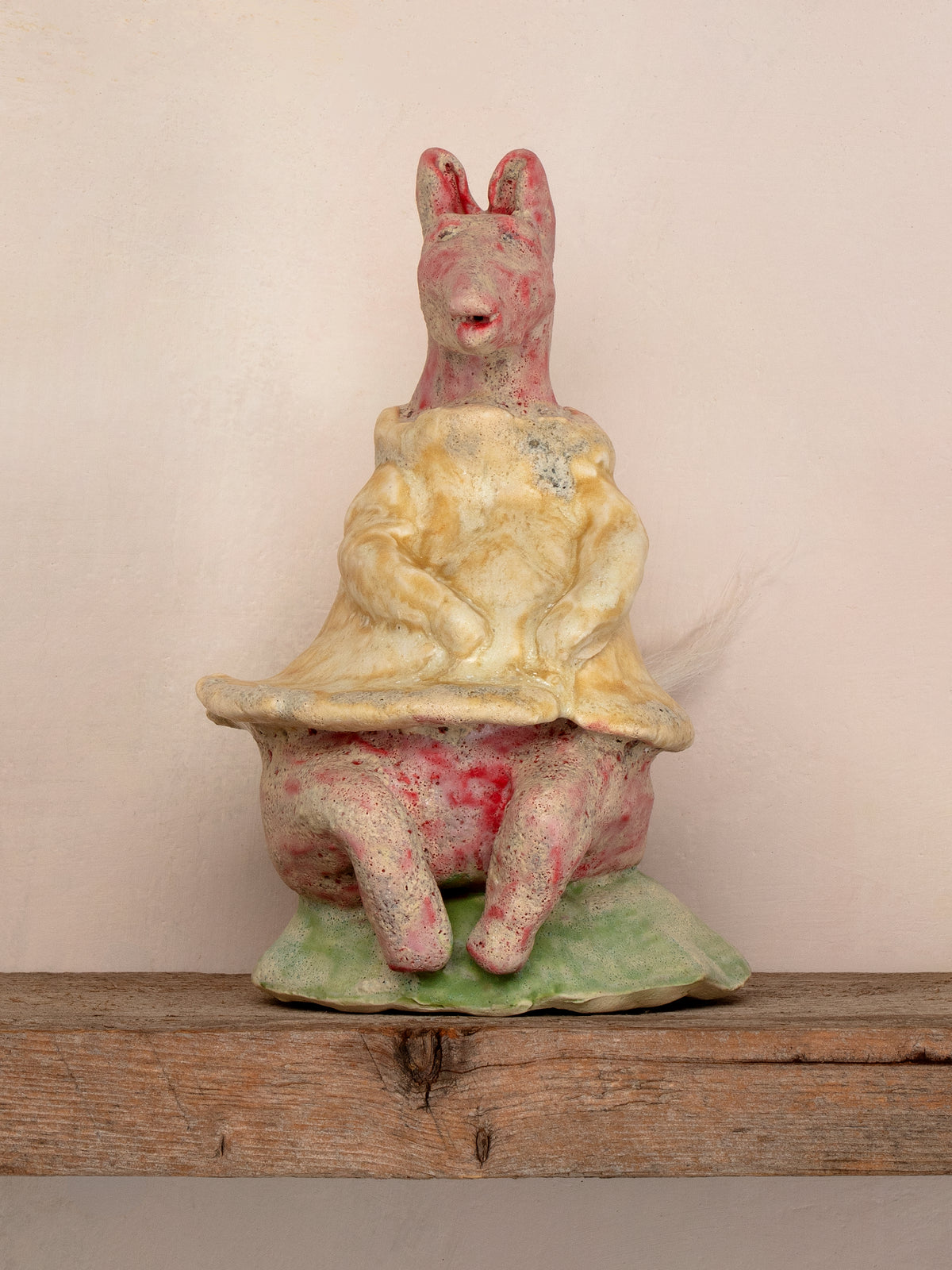 Donkey In Yellow Dress - Katherine Dunn