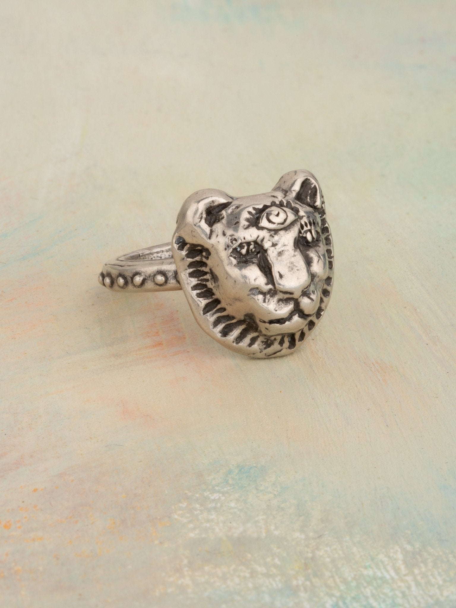 The Lioness Ring - Jes MaHarry