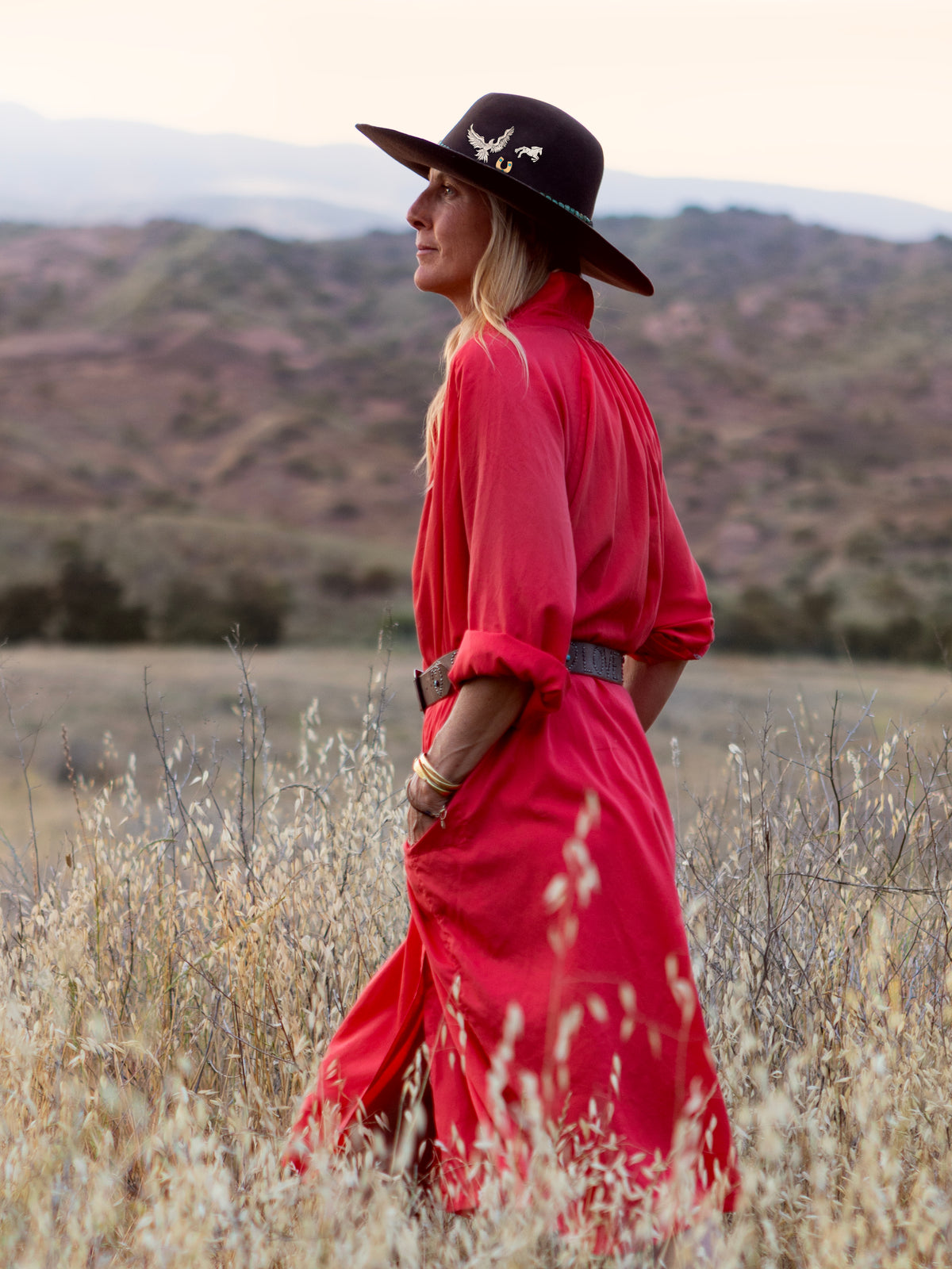 Bold Beauty Dress