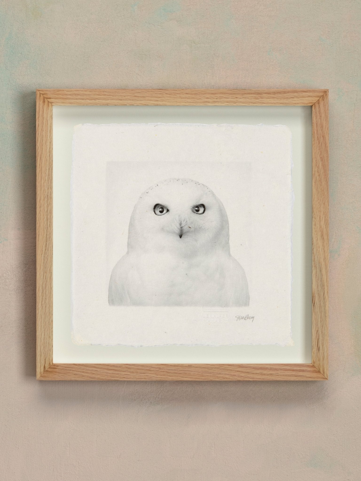 Snowy Owl - Jennifer MaHarry - Jes MaHarry