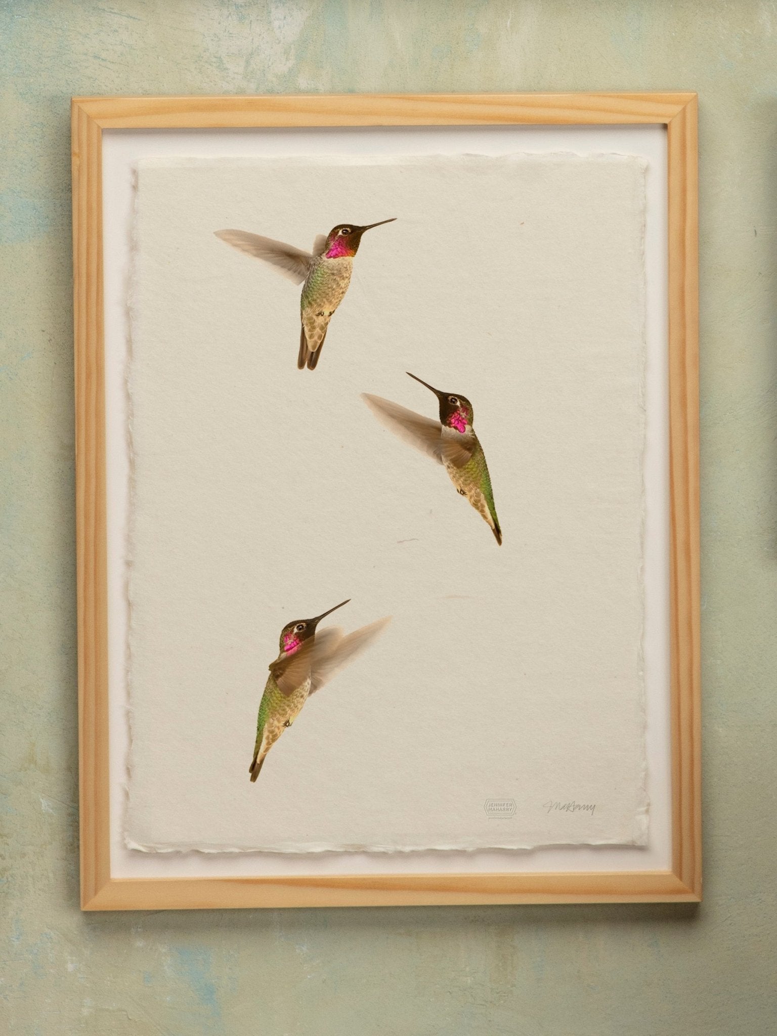 Three Humming Birds - Jennifer MaHarry - Jes MaHarry