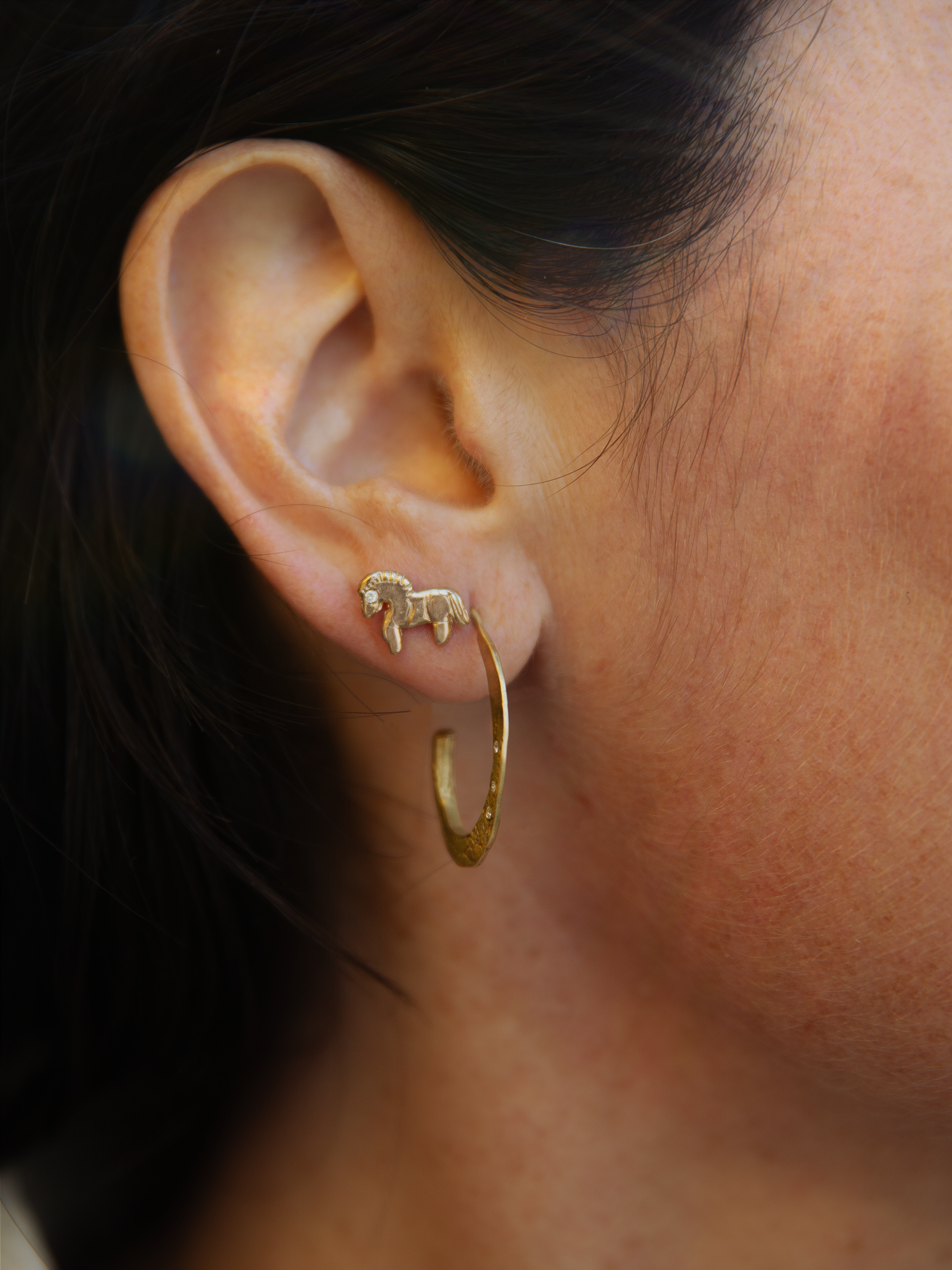 Sun Horse Earring