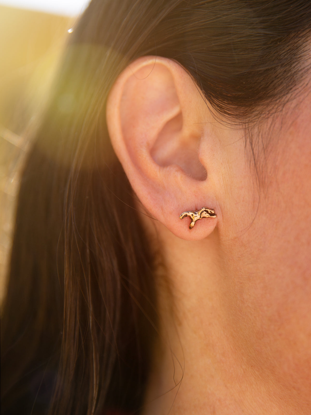 Wild and Free Earrings