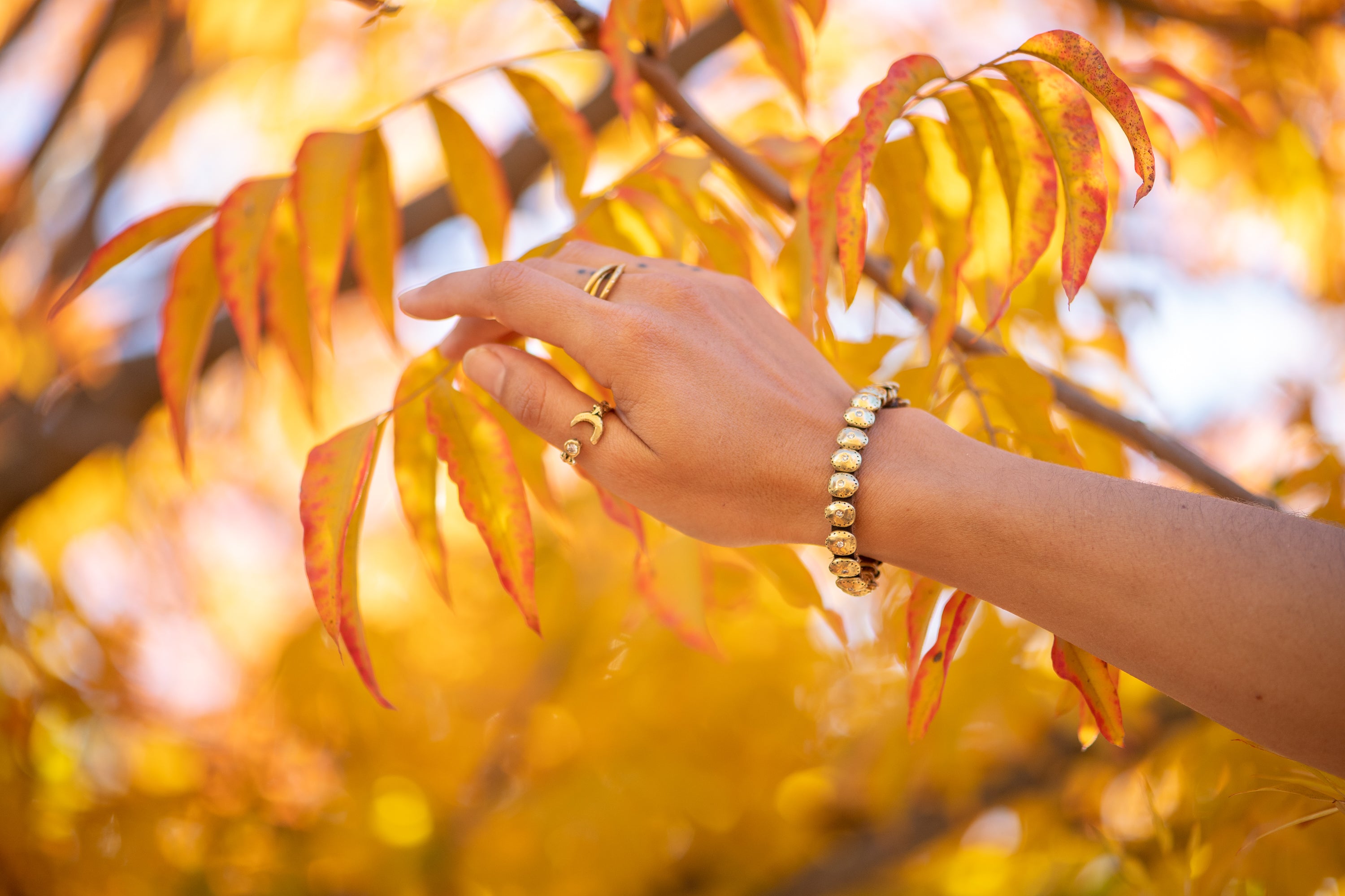 Voyage of Light Bracelet