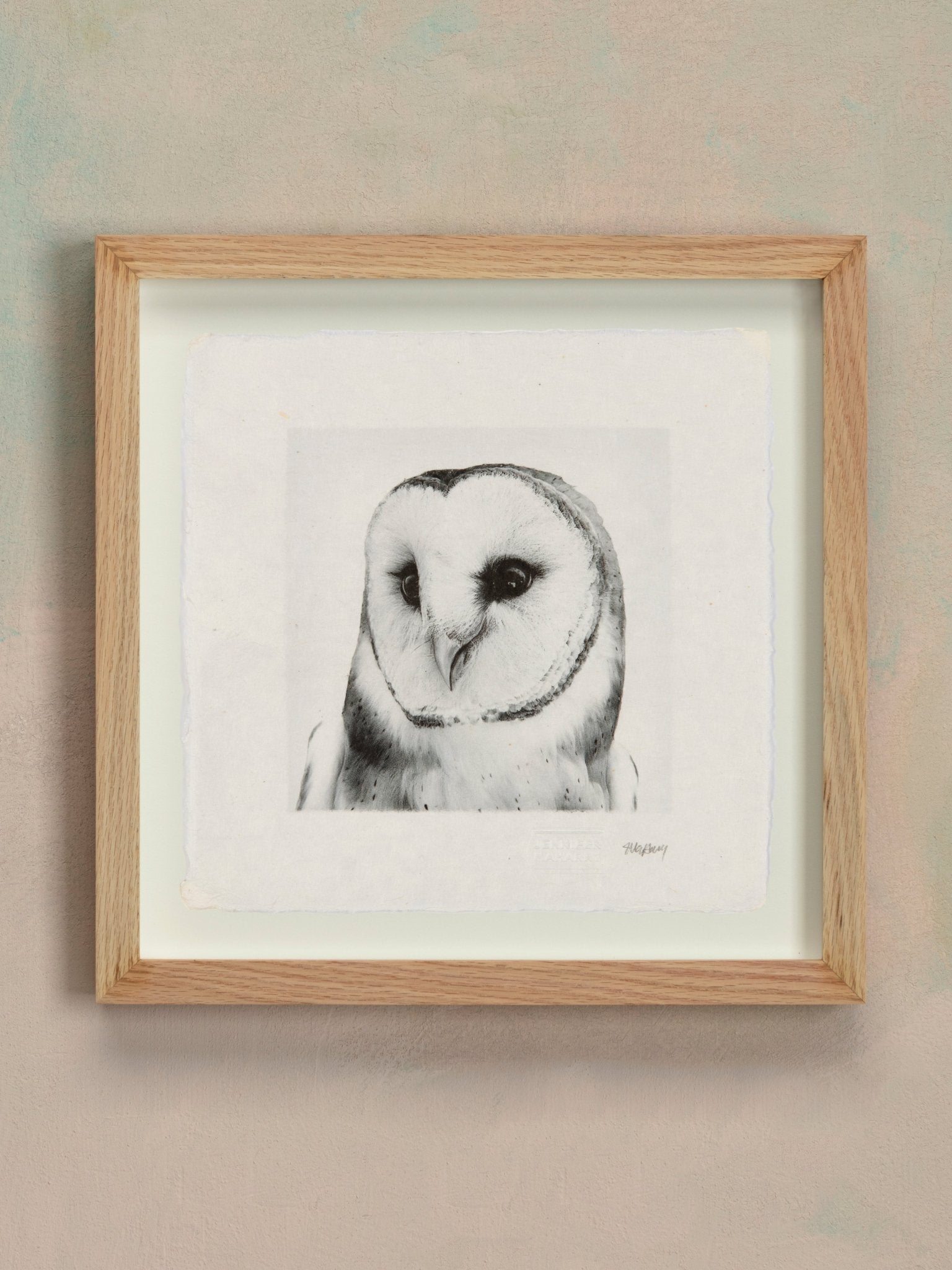 Barn Owl - Jennifer MaHarry - Jes MaHarry