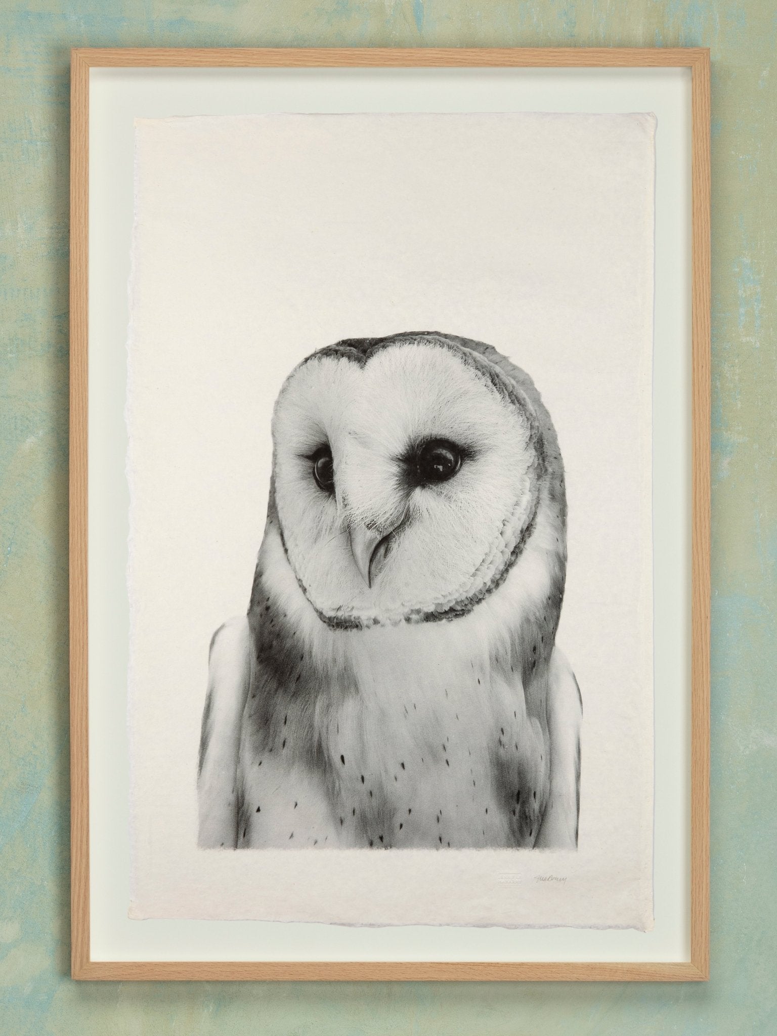 Barn Owl - Jennifer MaHarry - Jes MaHarry