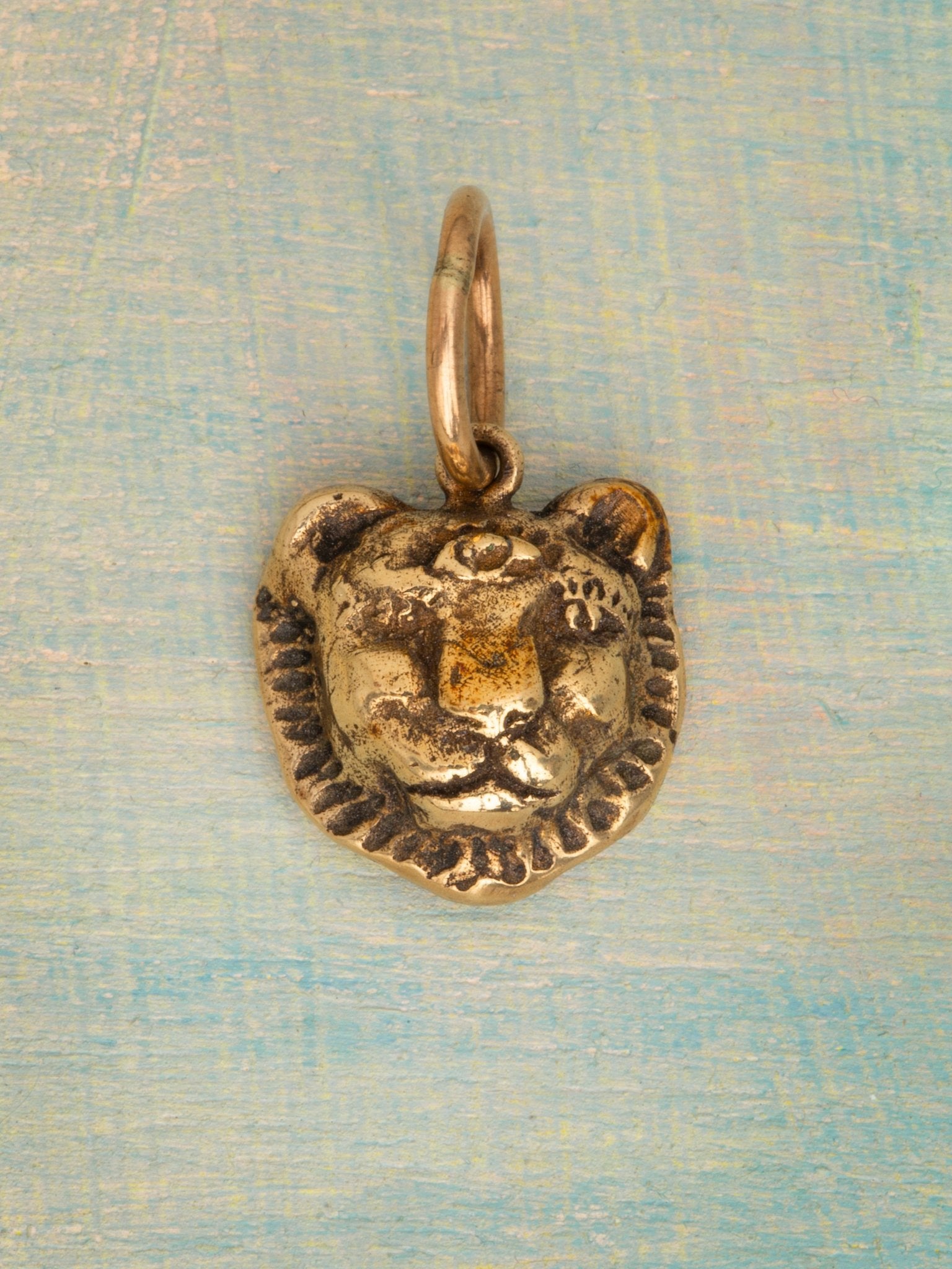 Lioness of Courage Charm - Jes MaHarry