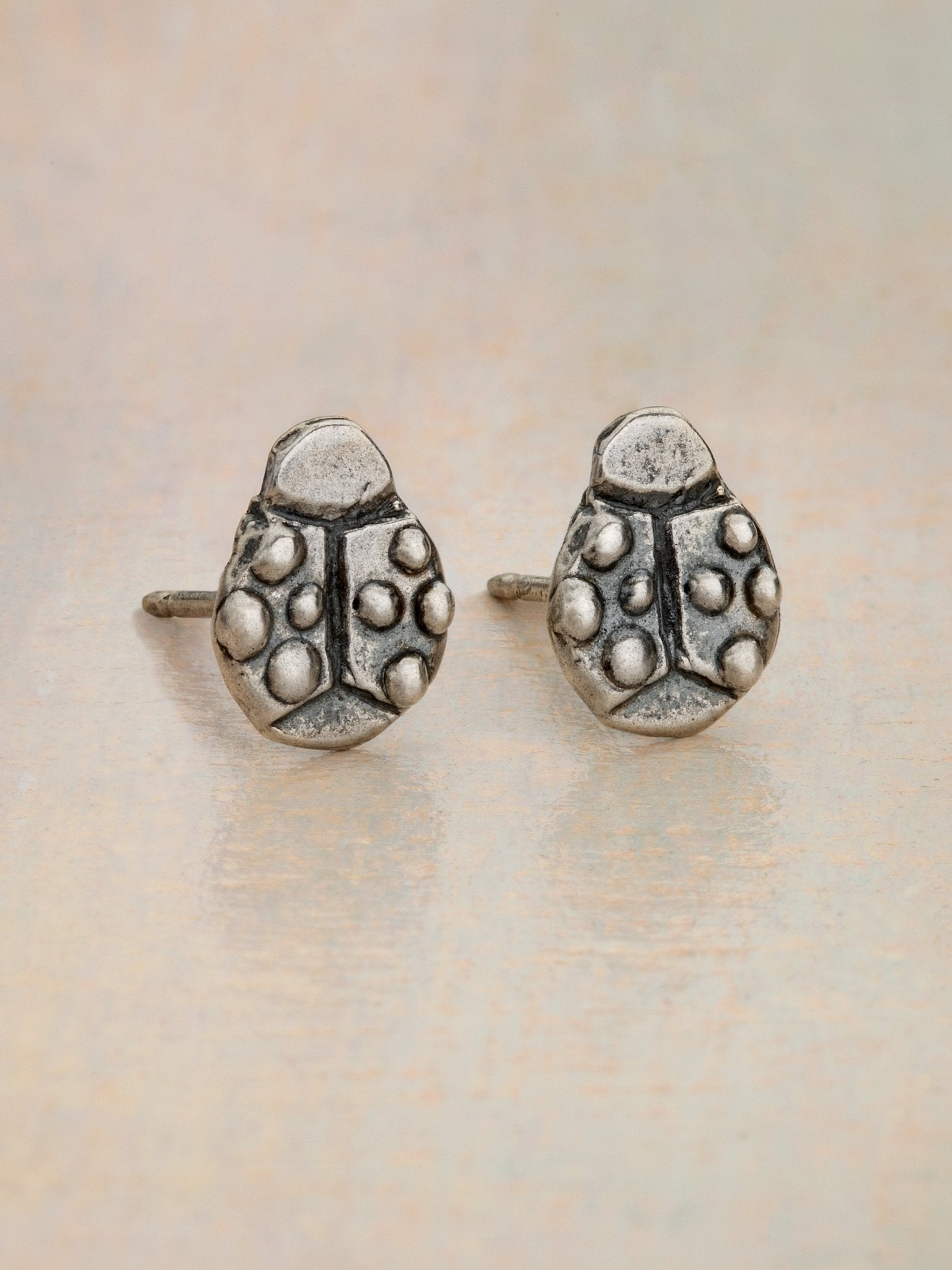 Ladybug Magic Earrings - Jes MaHarry