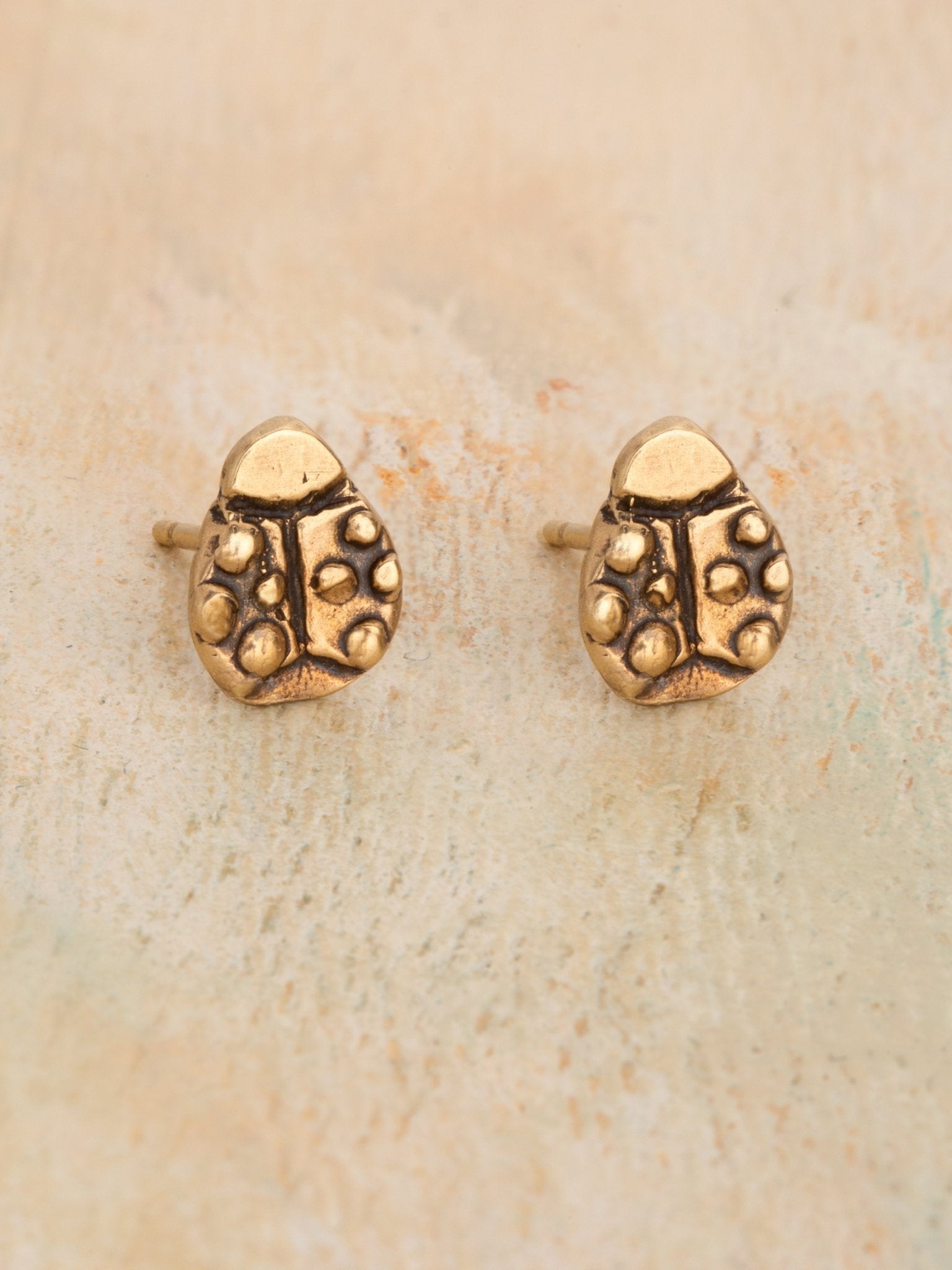 Ladybug Magic Earrings - Jes MaHarry