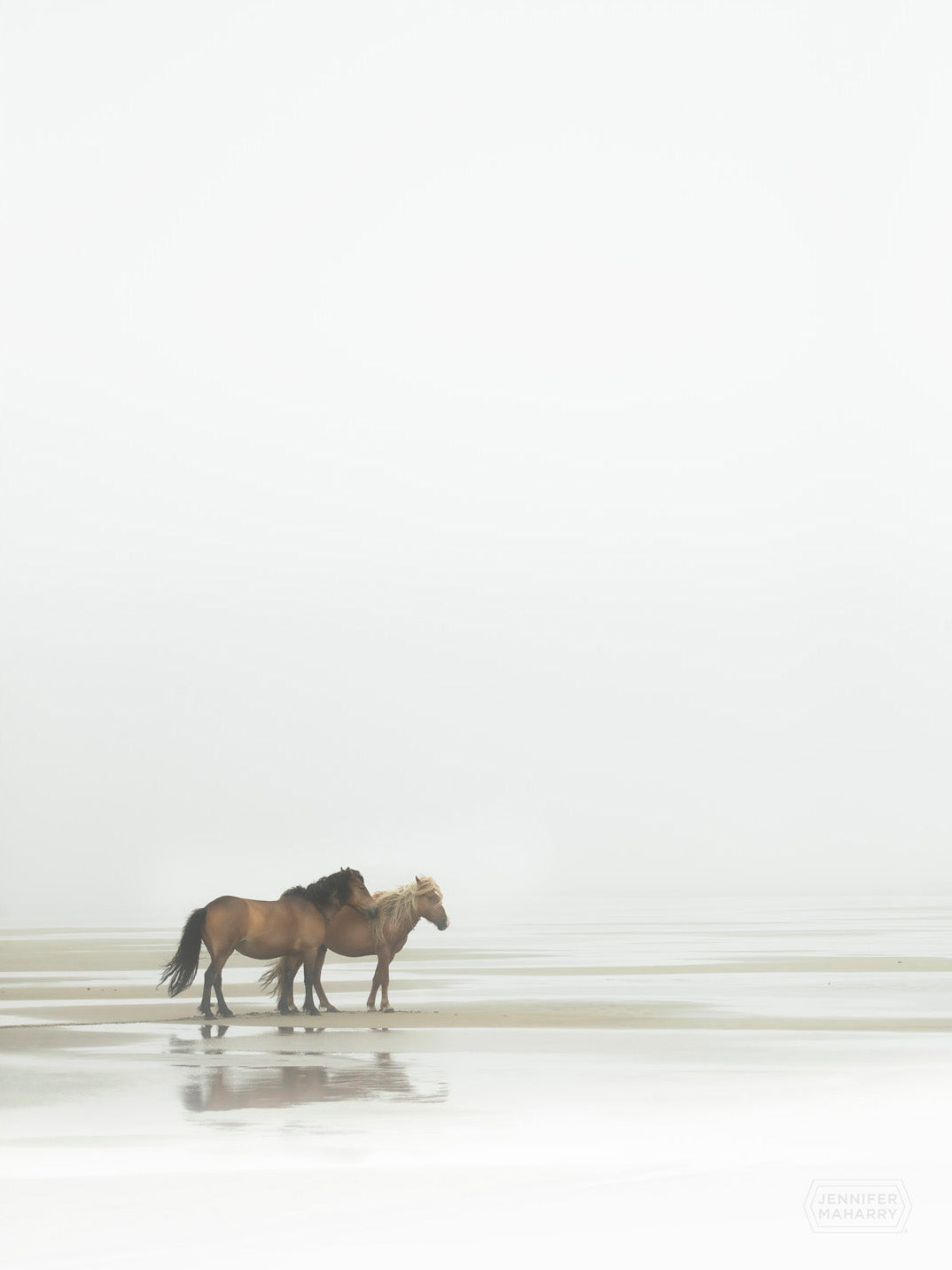 FRIENDS ON THE BEACH - UNFRAMED PRINT