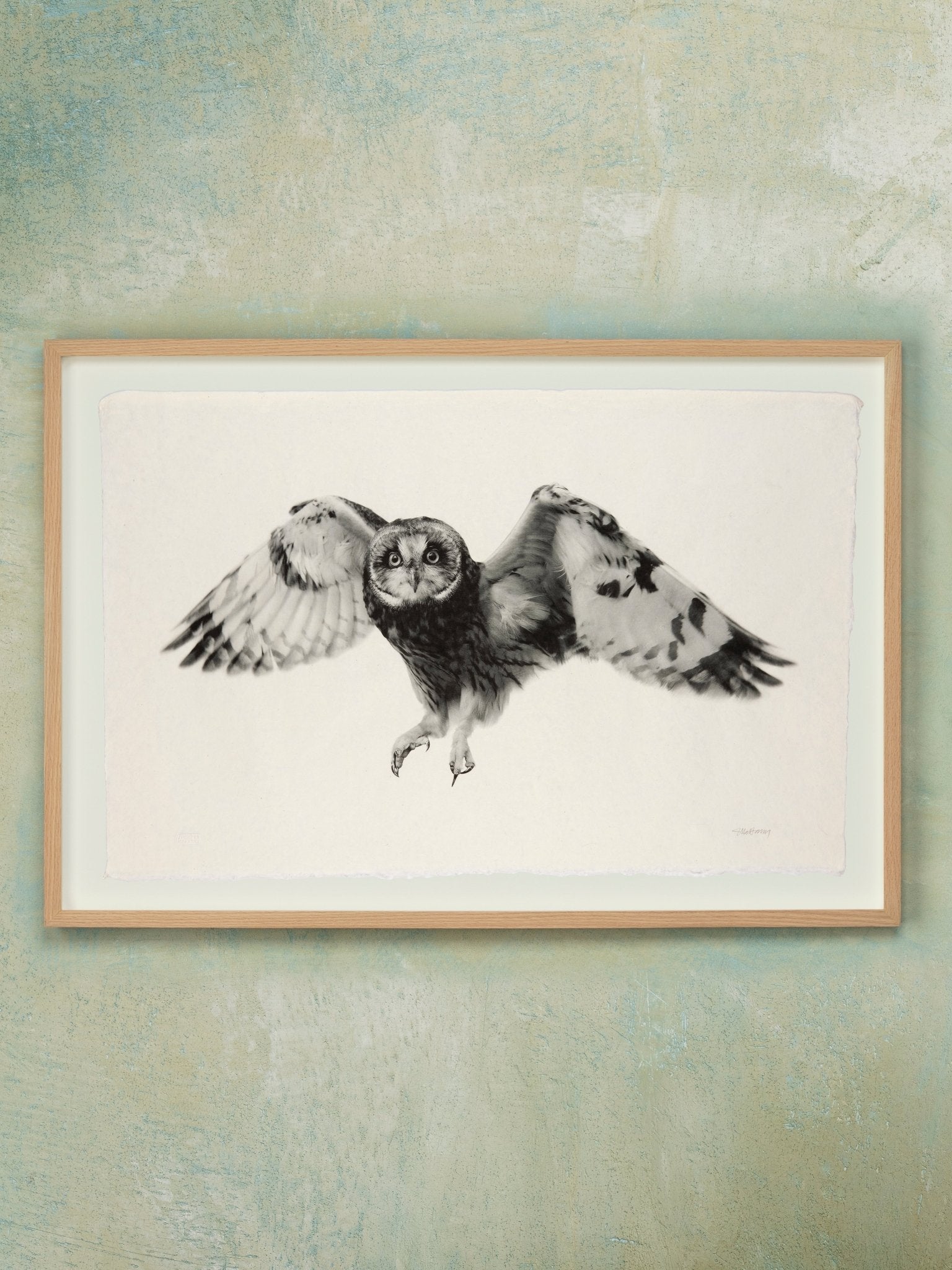 Flying Owl - Jennifer MaHarry - Jes MaHarry