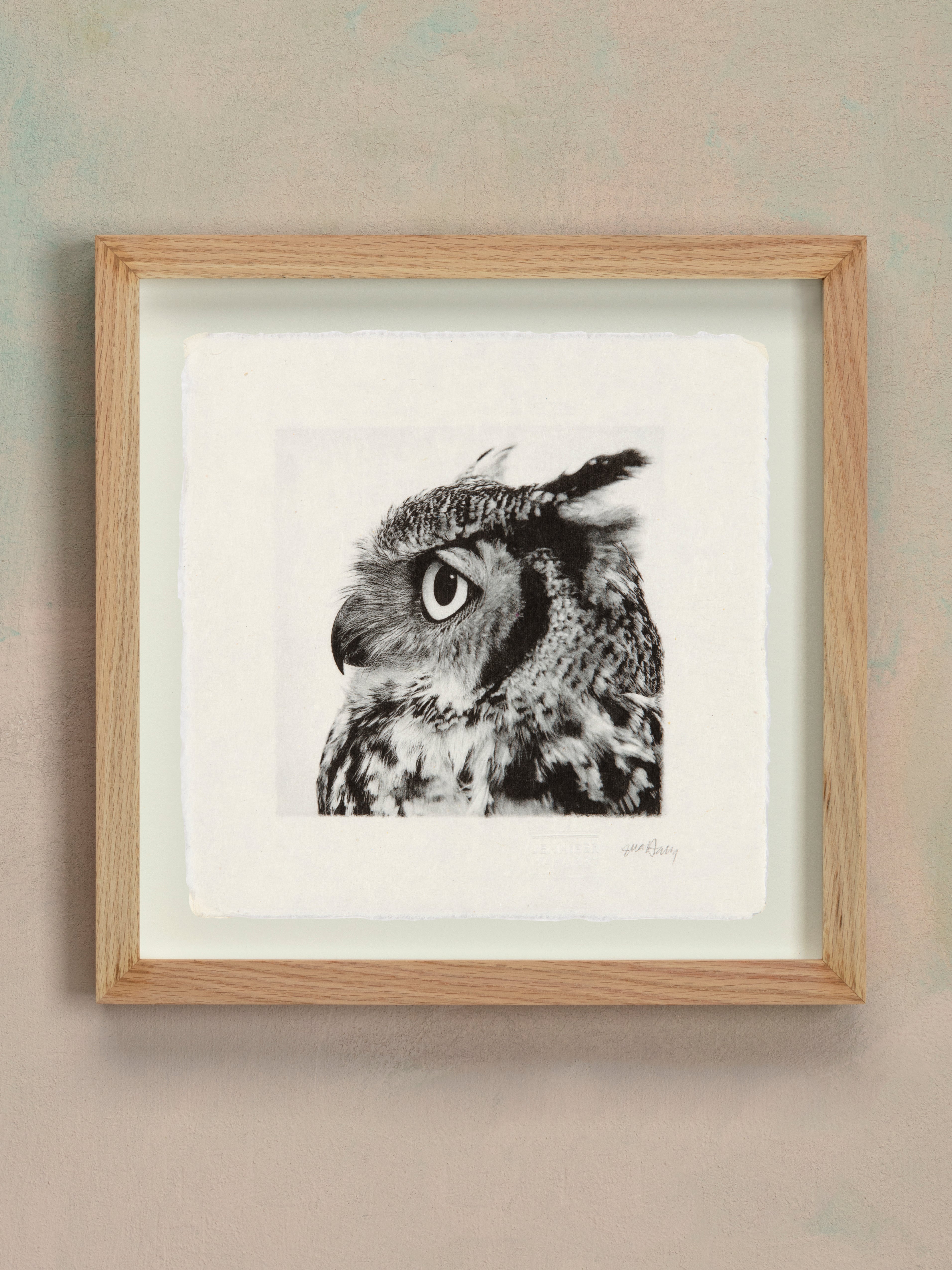 Great Horned Owl - Jennifer MaHarry