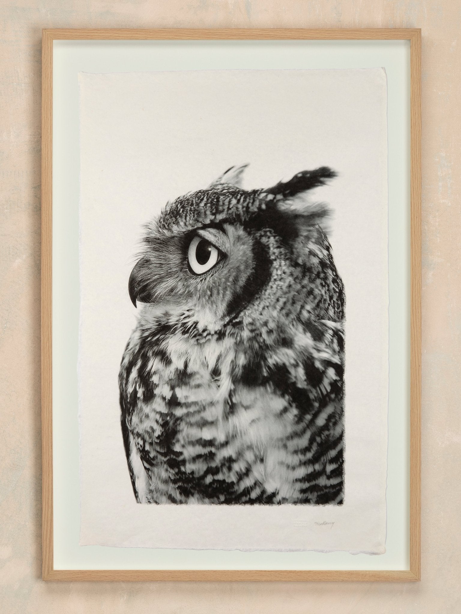 Great Horned Owl - Jennifer MaHarry - Jes MaHarry