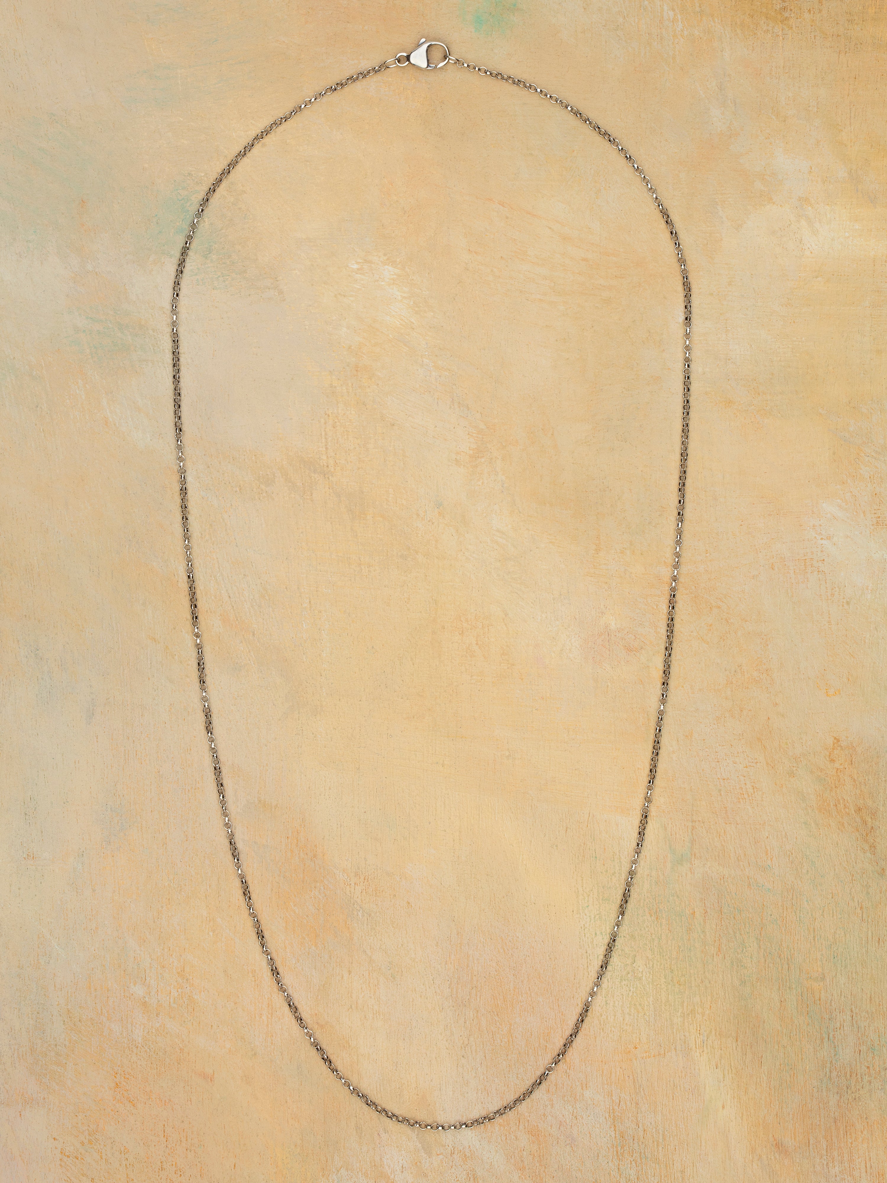 Silver Charmstarter Necklace