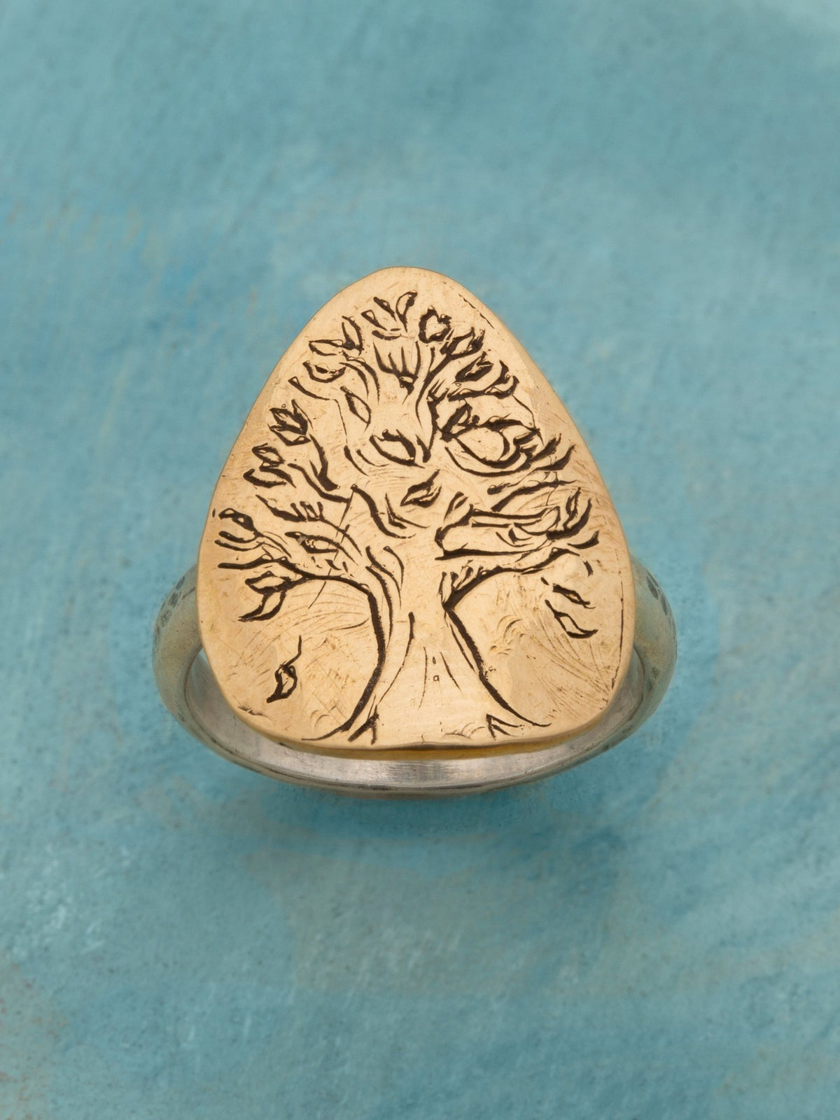 Strength Within Ring — Jes MaHarry