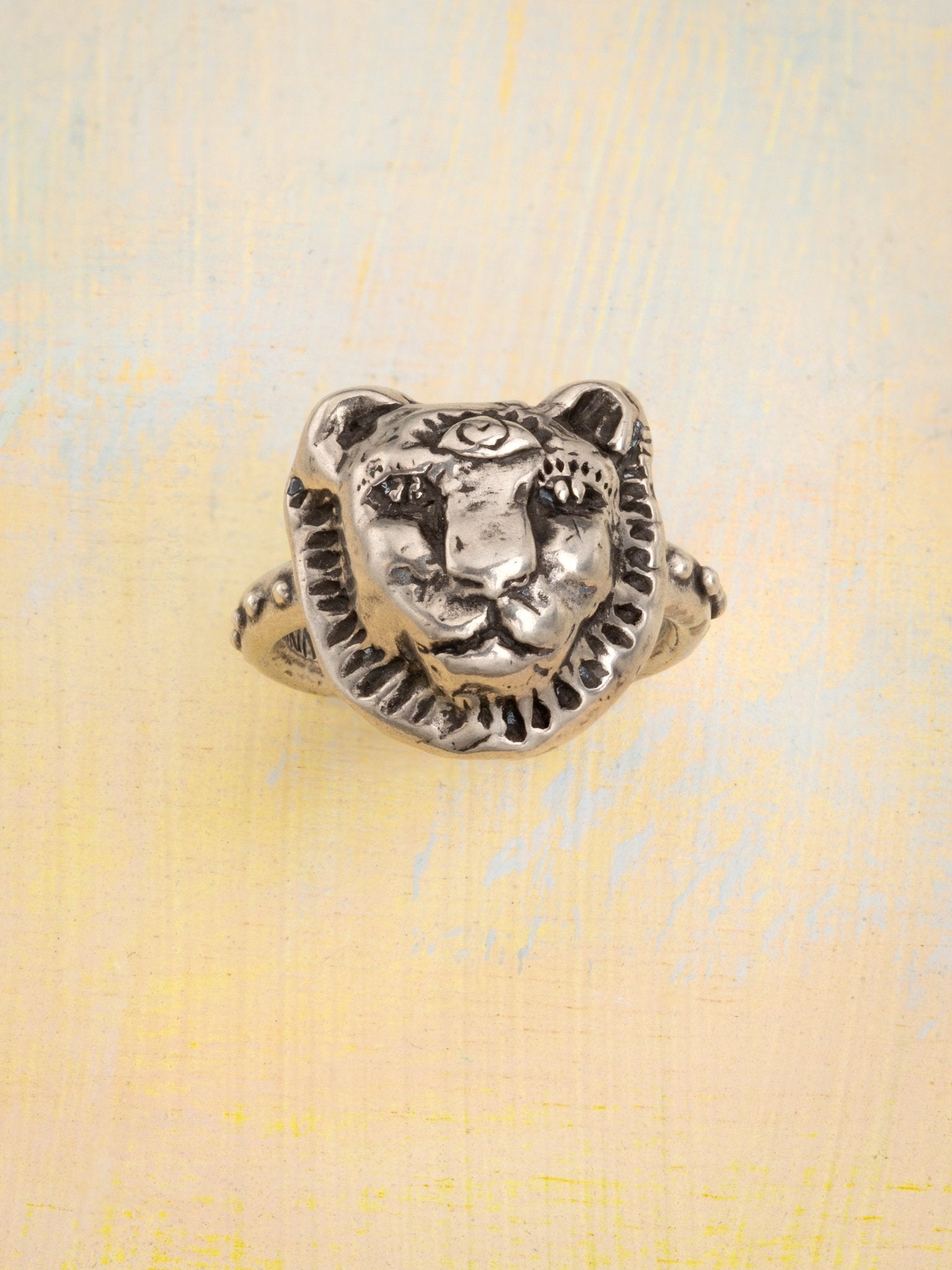The Lioness Ring - Jes MaHarry
