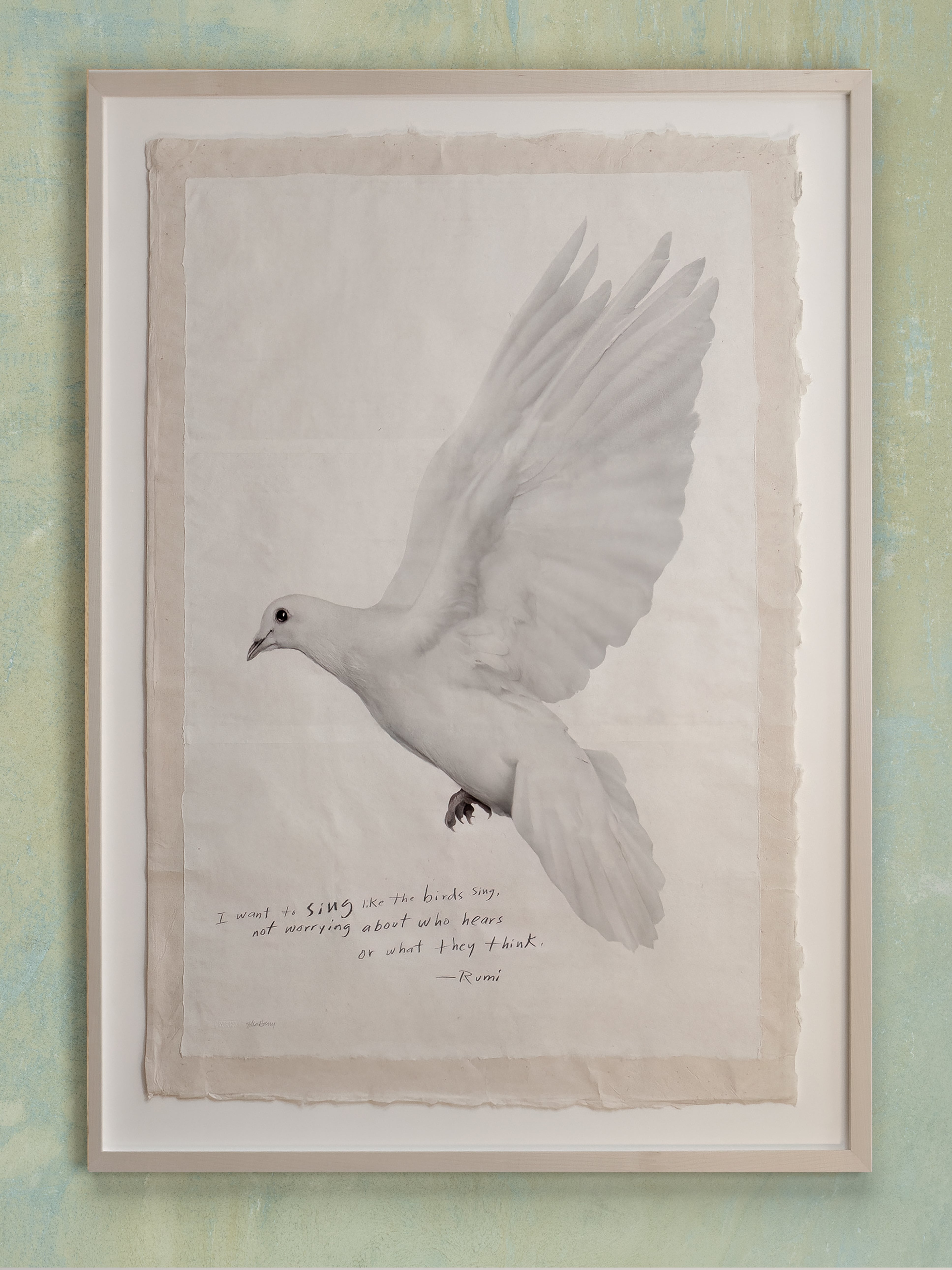 Singing Dove - Unframed Print - Jennifer MaHarry