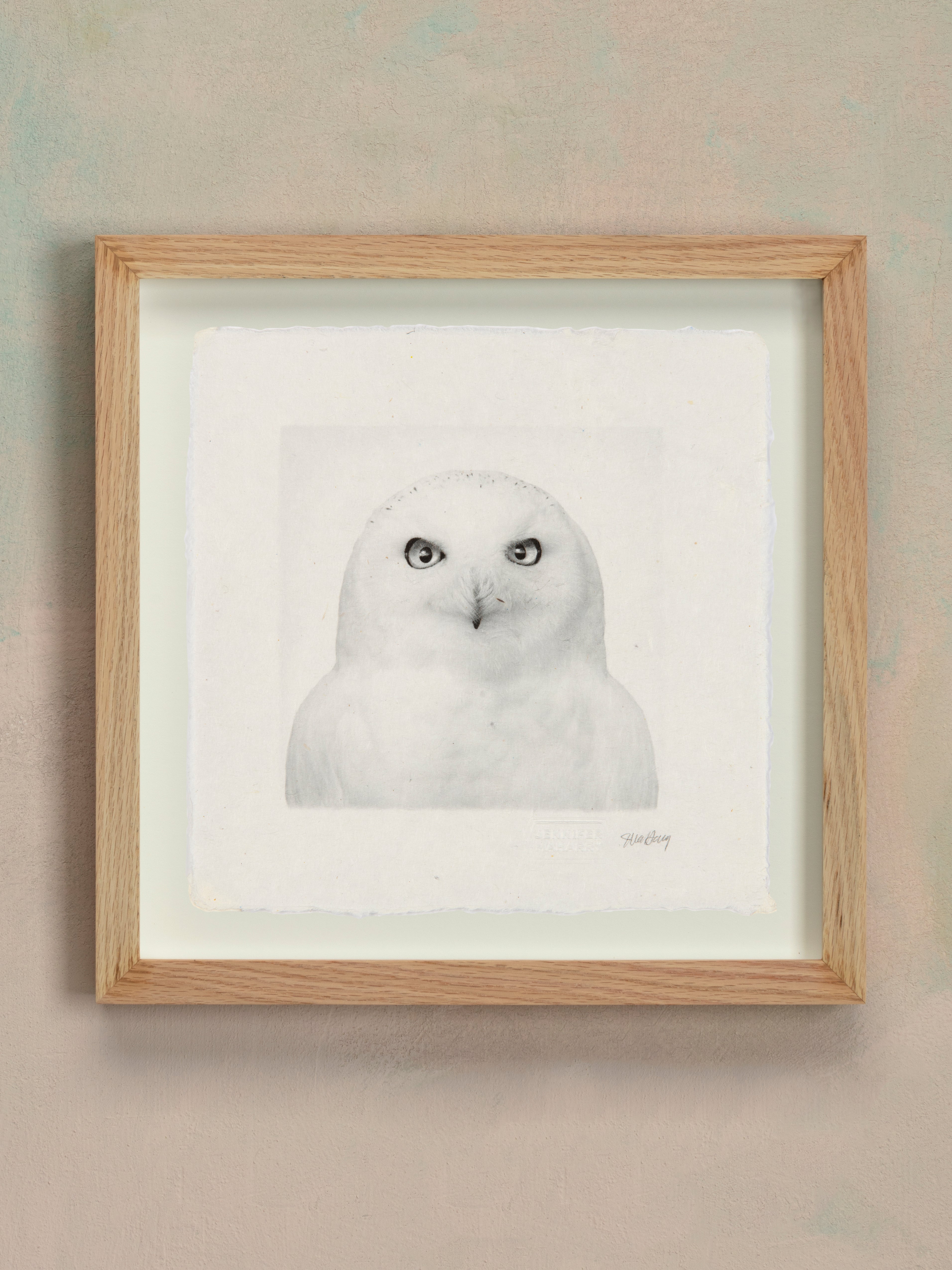 Snowy Owl - Jennifer MaHarry