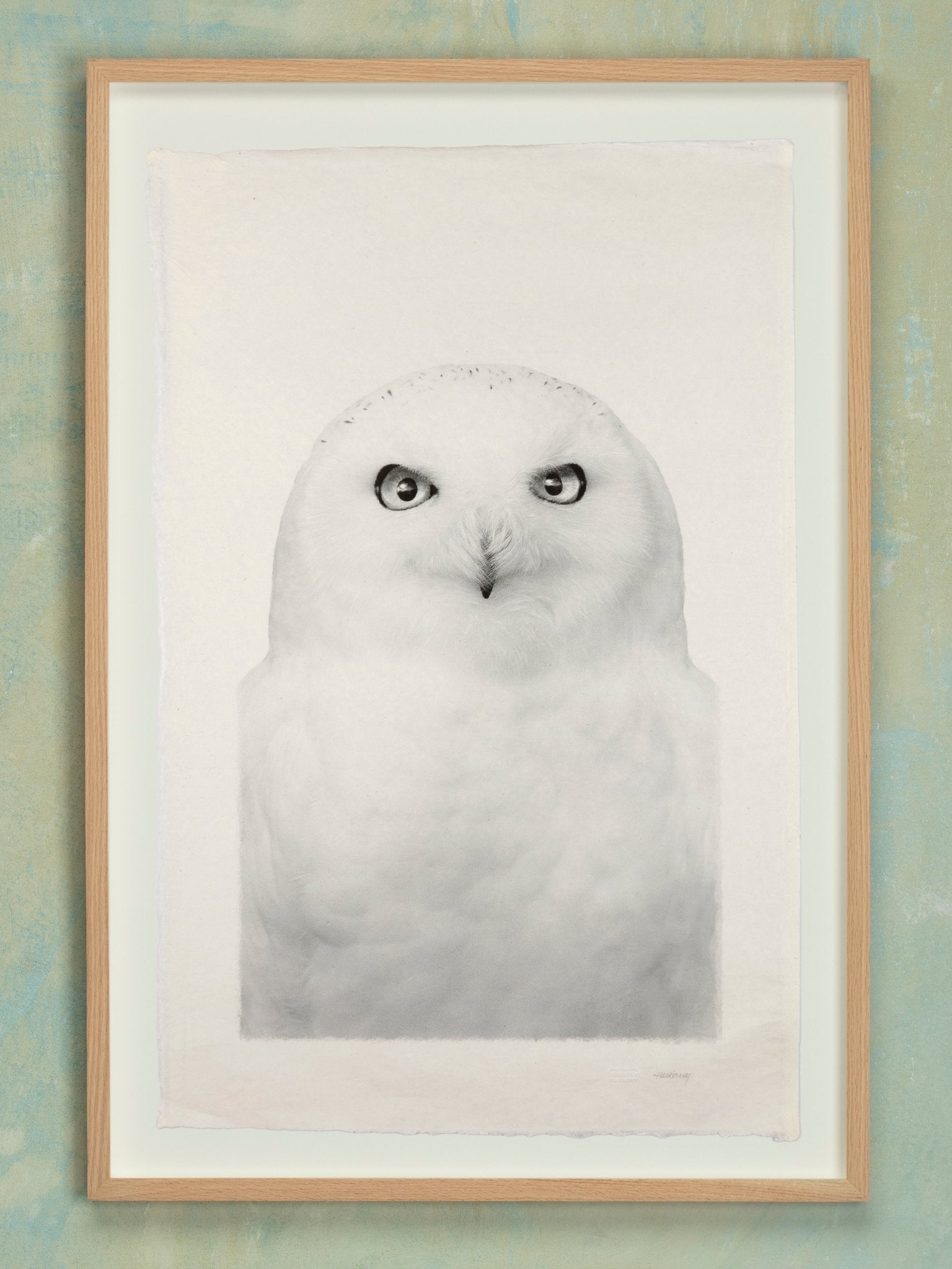 Snowy Owl - Jennifer MaHarry - Jes MaHarry