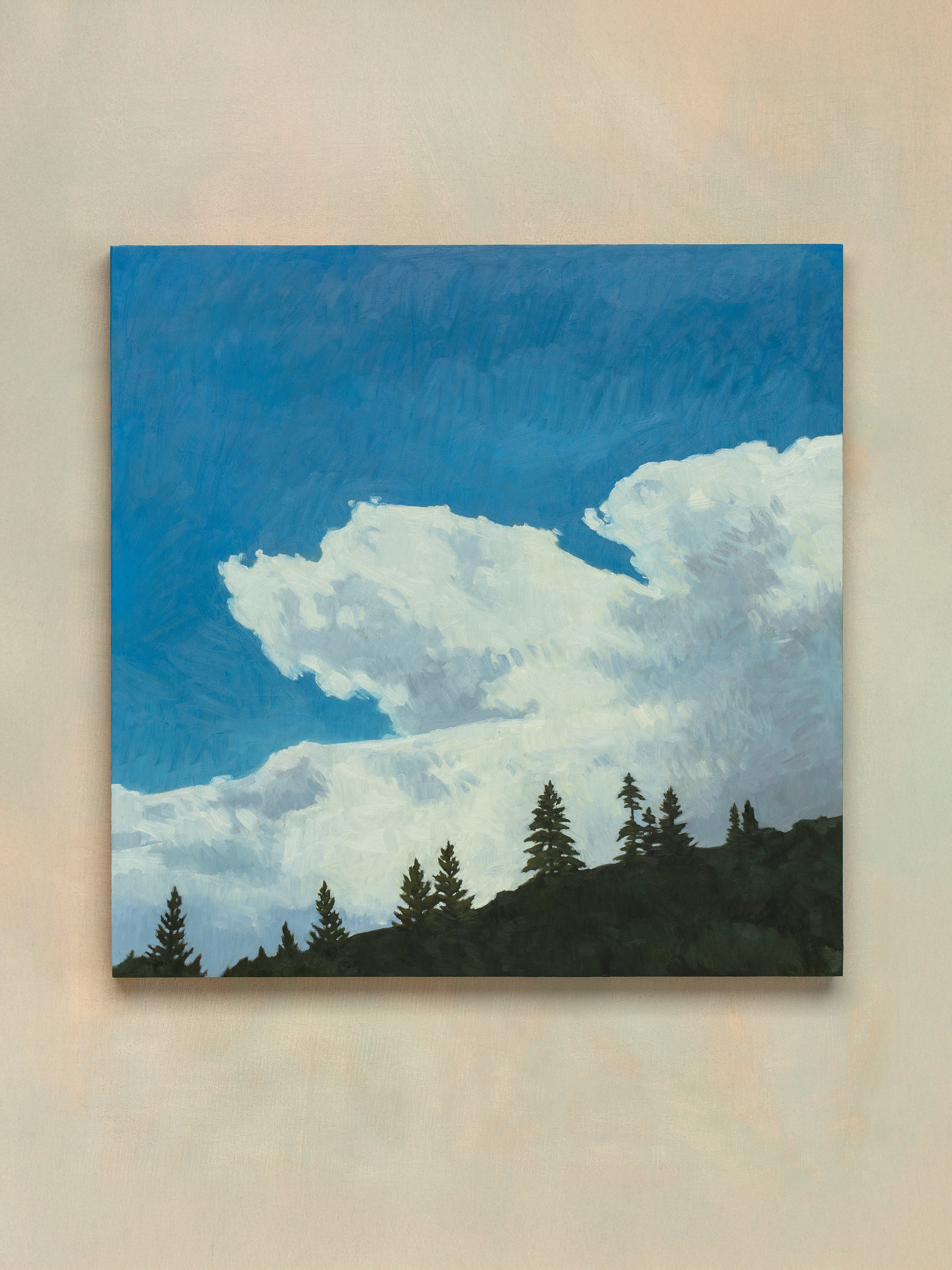 Thunderheads - Nicole Strasburg