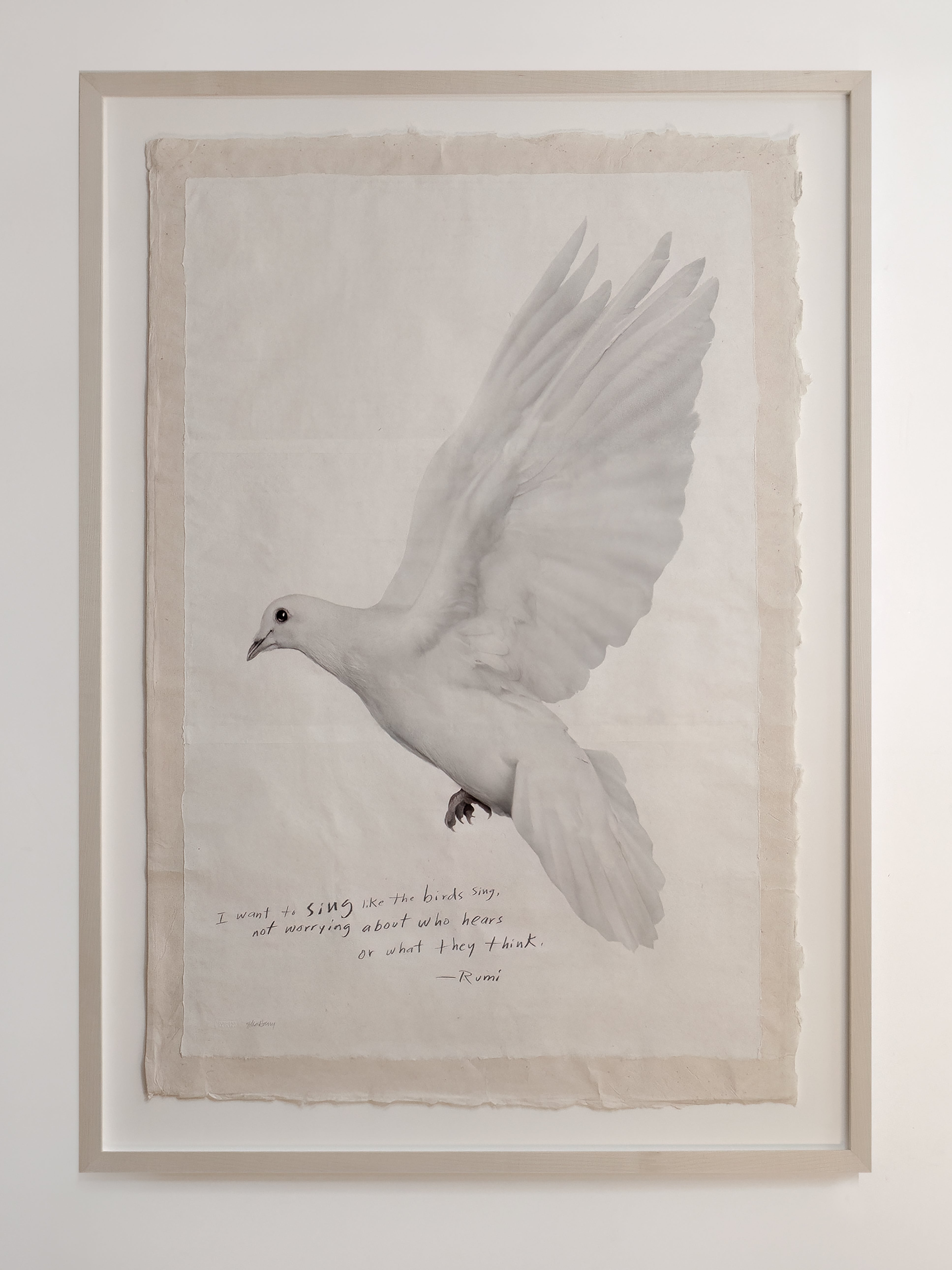 Singing Dove - Unframed Print