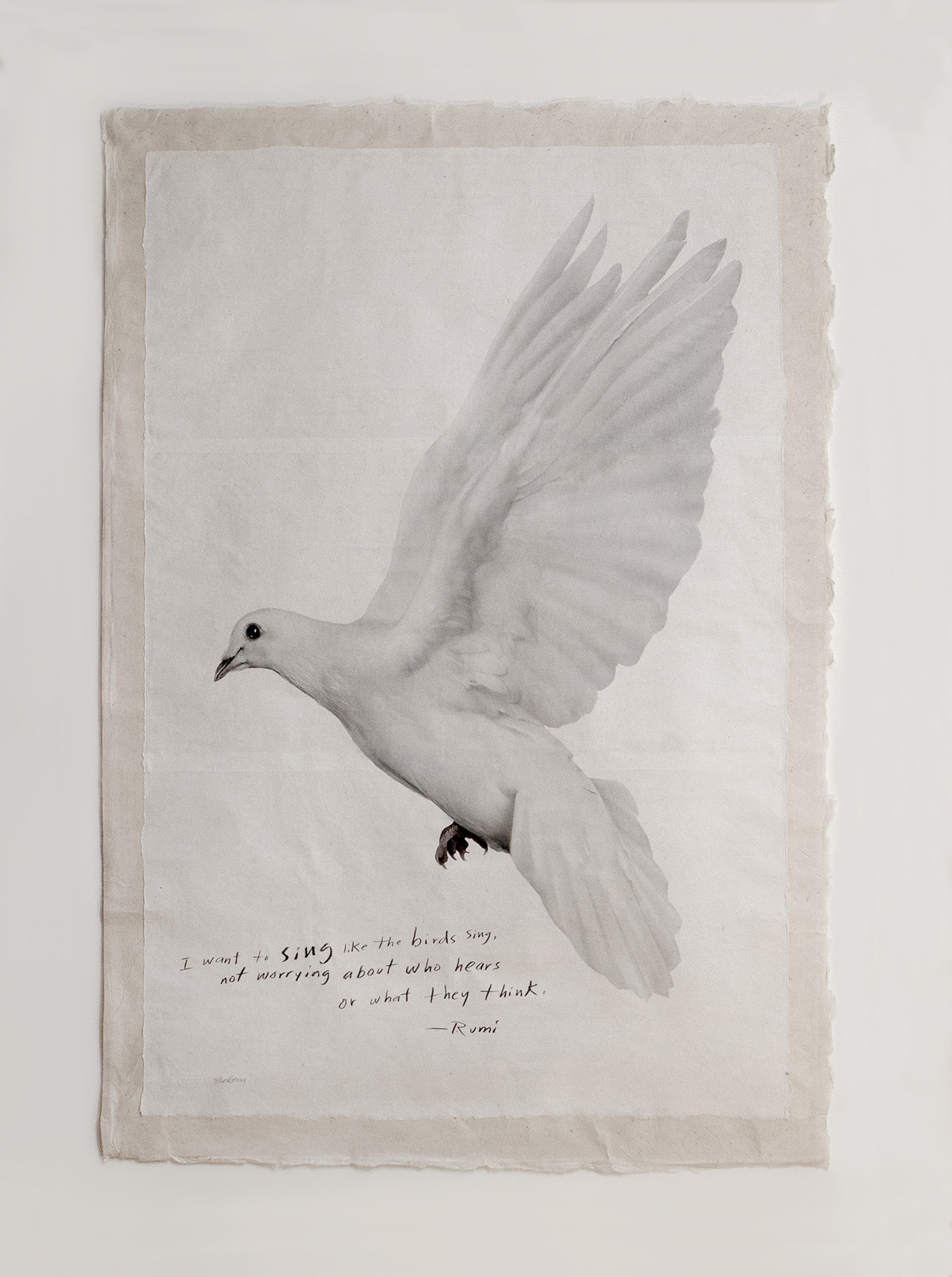 Singing Dove - Unframed Print