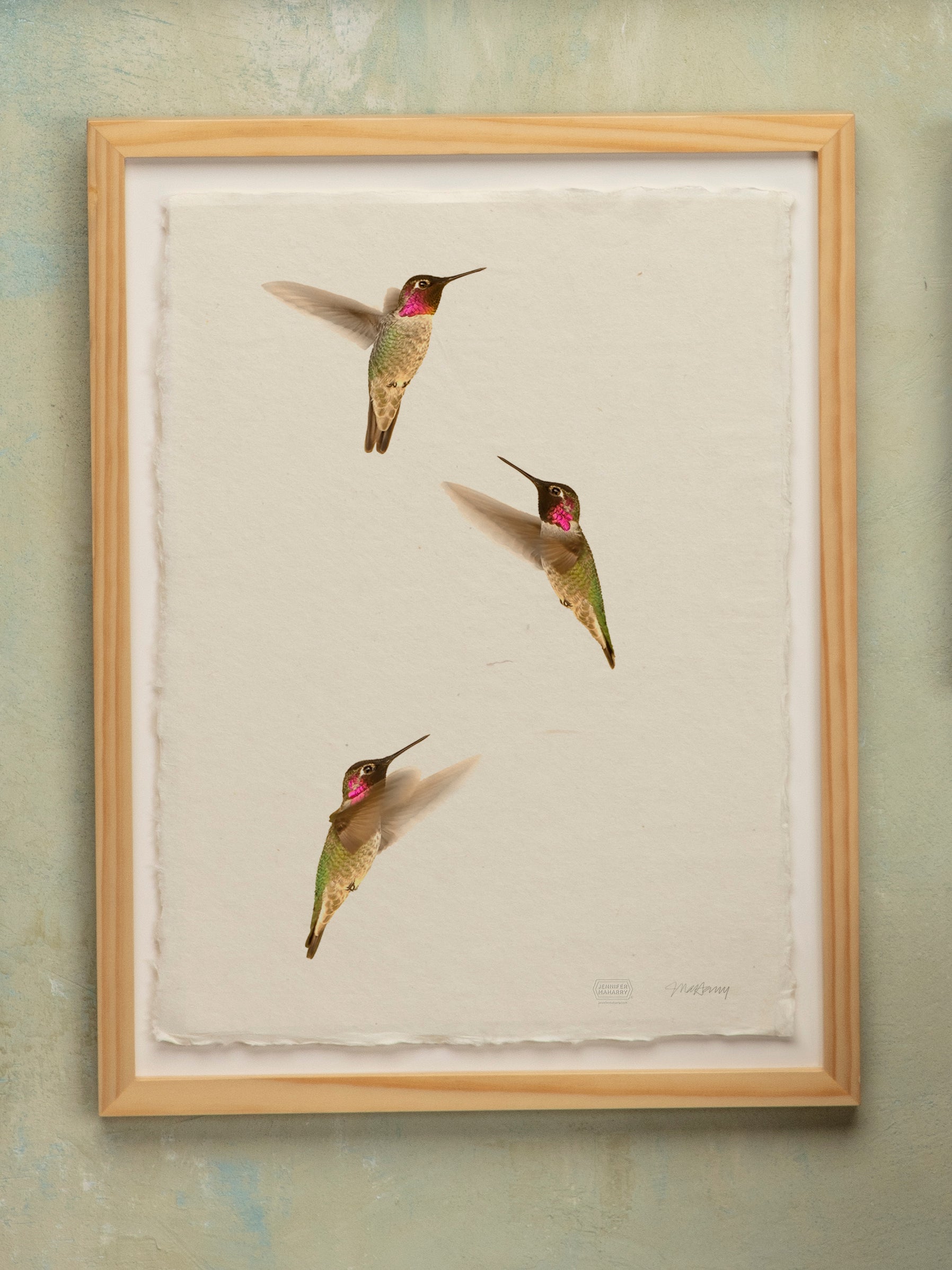 Three Humming Birds - Jennifer MaHarry